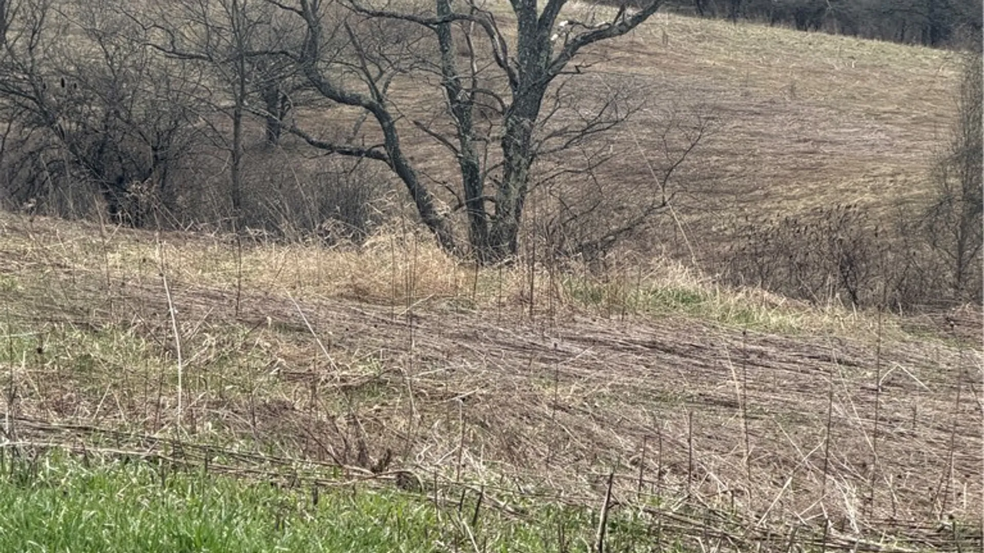 Property at State Hwy 23, Pitcher, NY 13801 2