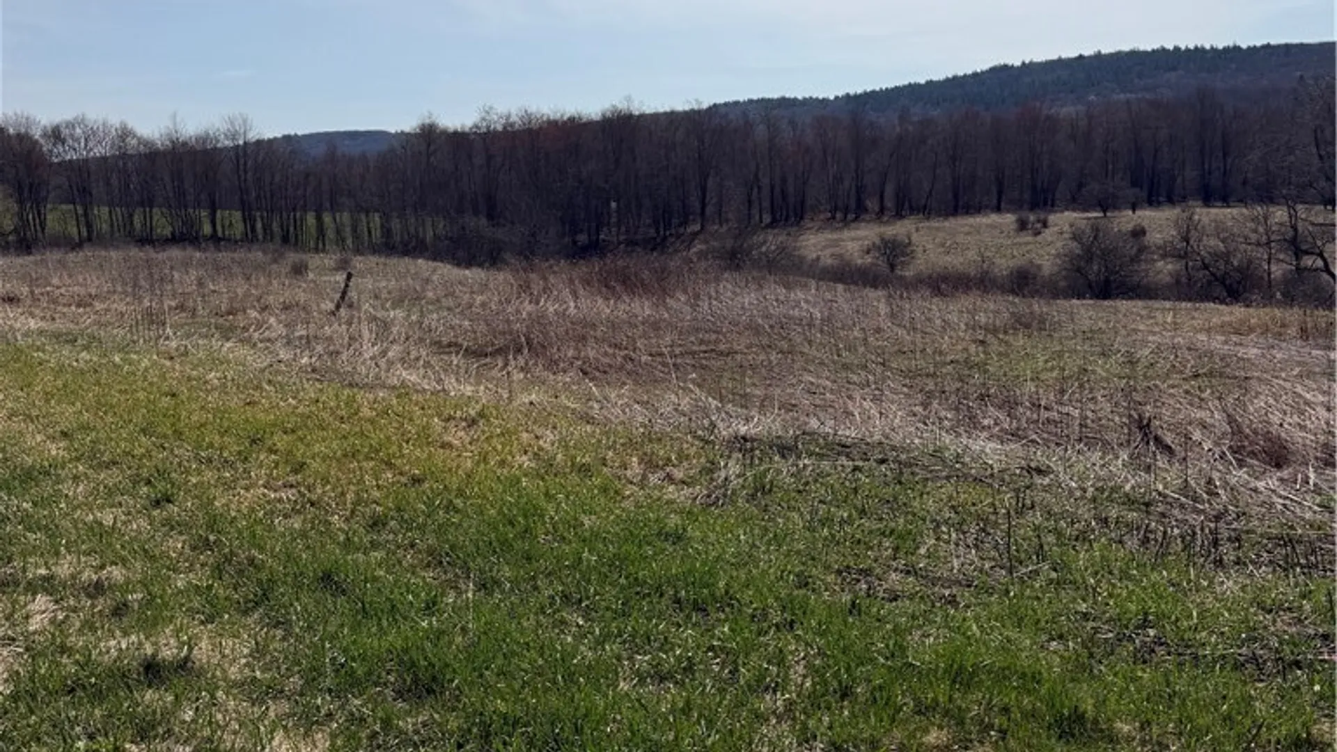 Property at State Hwy 23, Pitcher, NY 13801 3