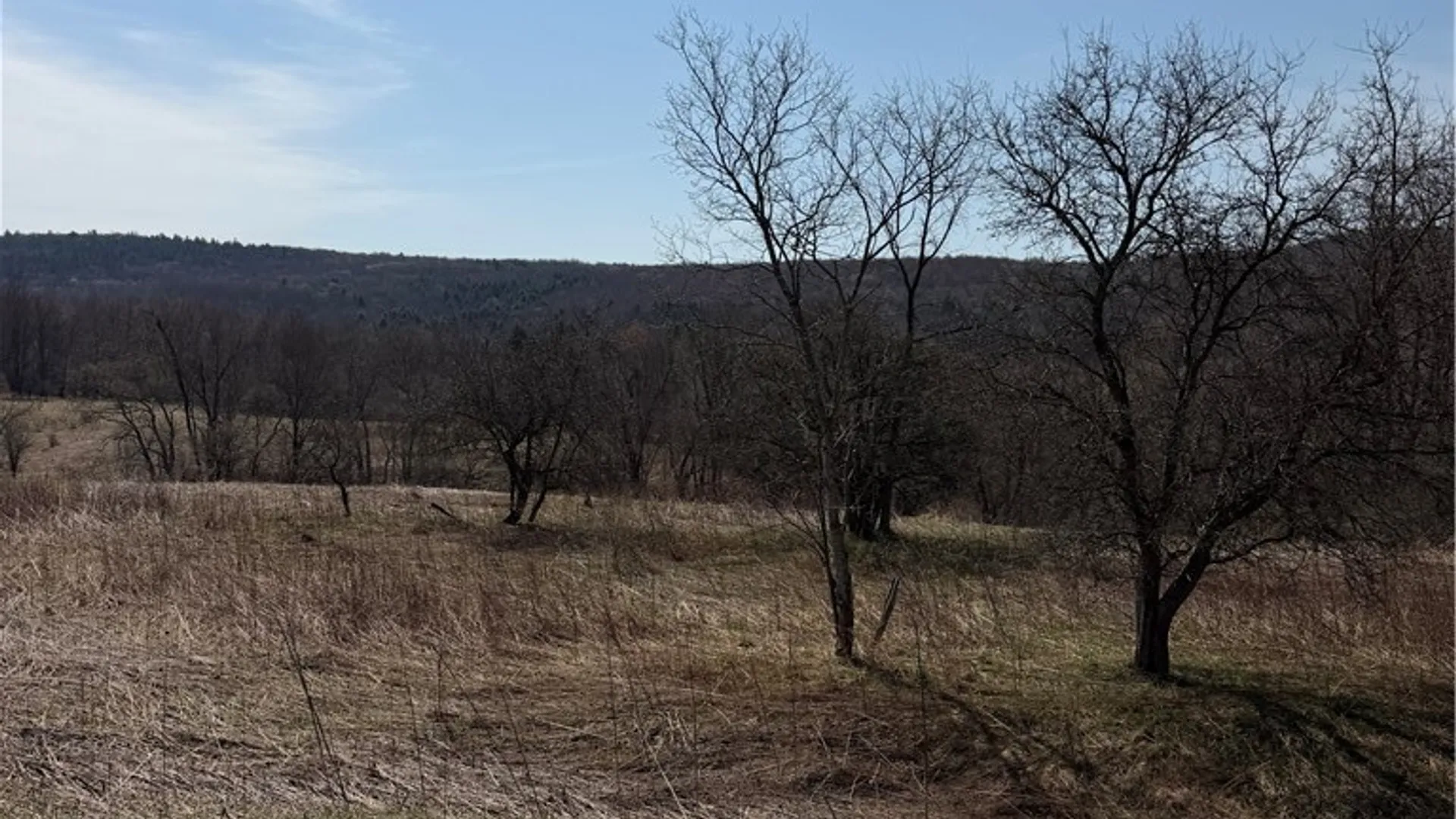 Property at State Hwy 23, Pitcher, NY 13801 4