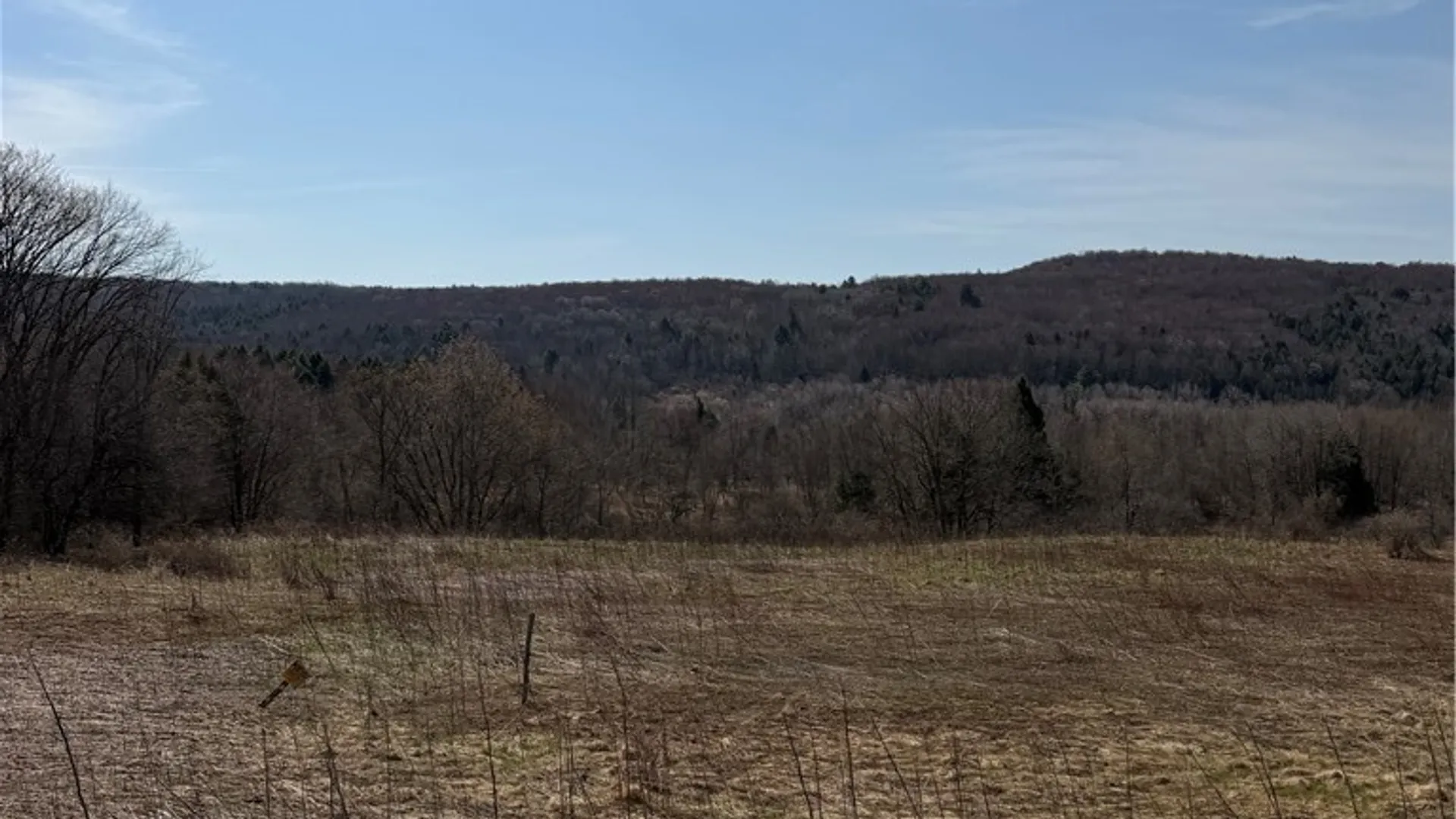 Property at State Hwy 23, Pitcher, NY 13801 5