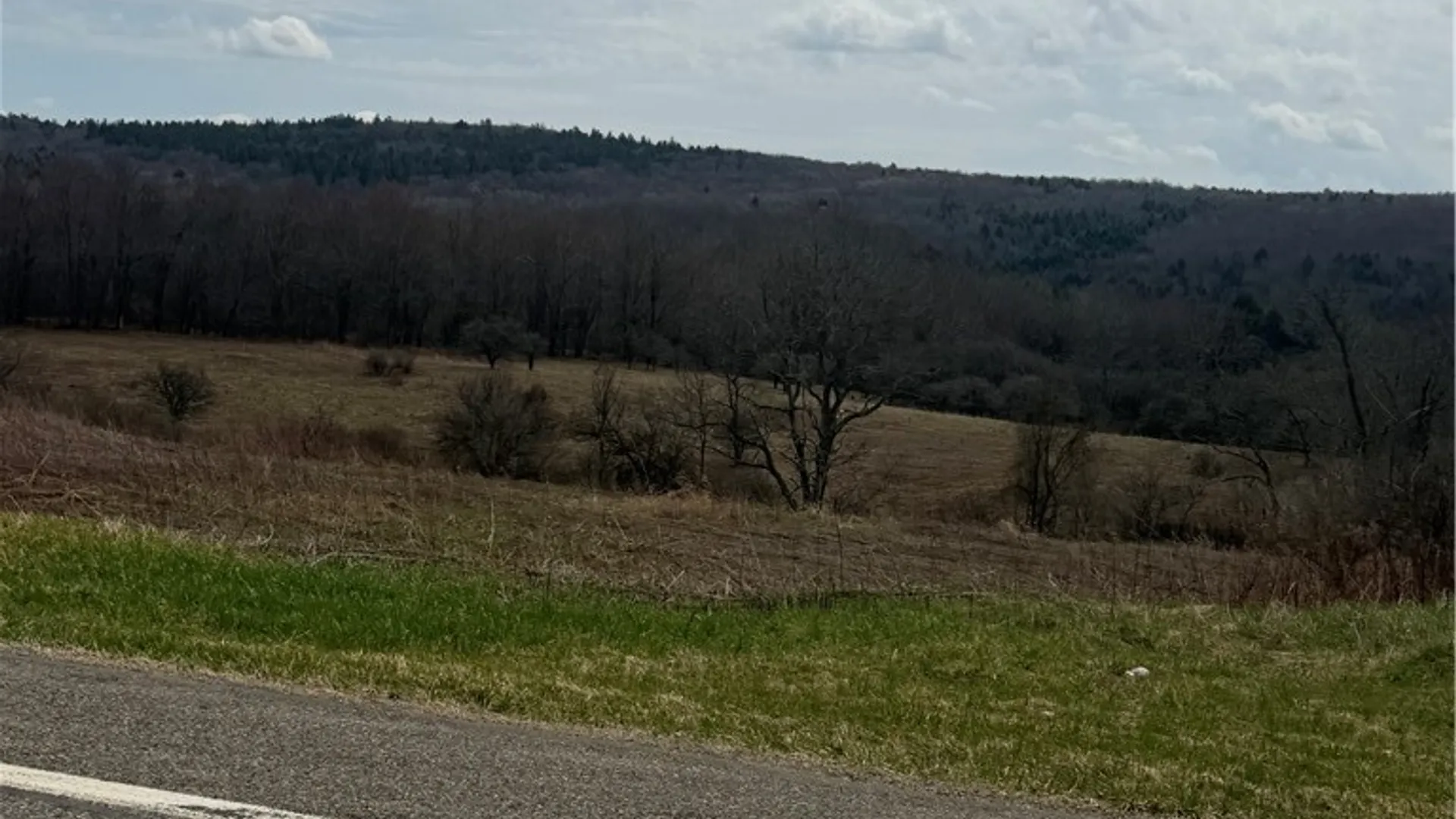 Property at State Hwy 23, Pitcher, NY 13801 6