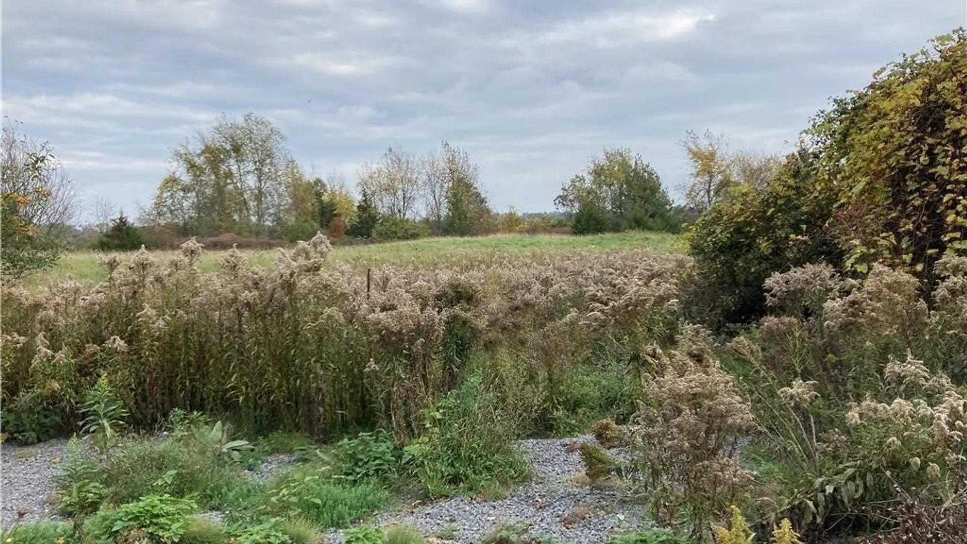 Property at NE of E Main Street E Main St Street, Hounsfield, NY 13685 4