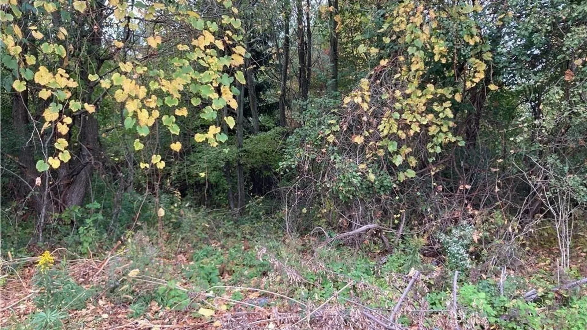 Property at NE of E Main Street E Main St Street, Hounsfield, NY 13685 6