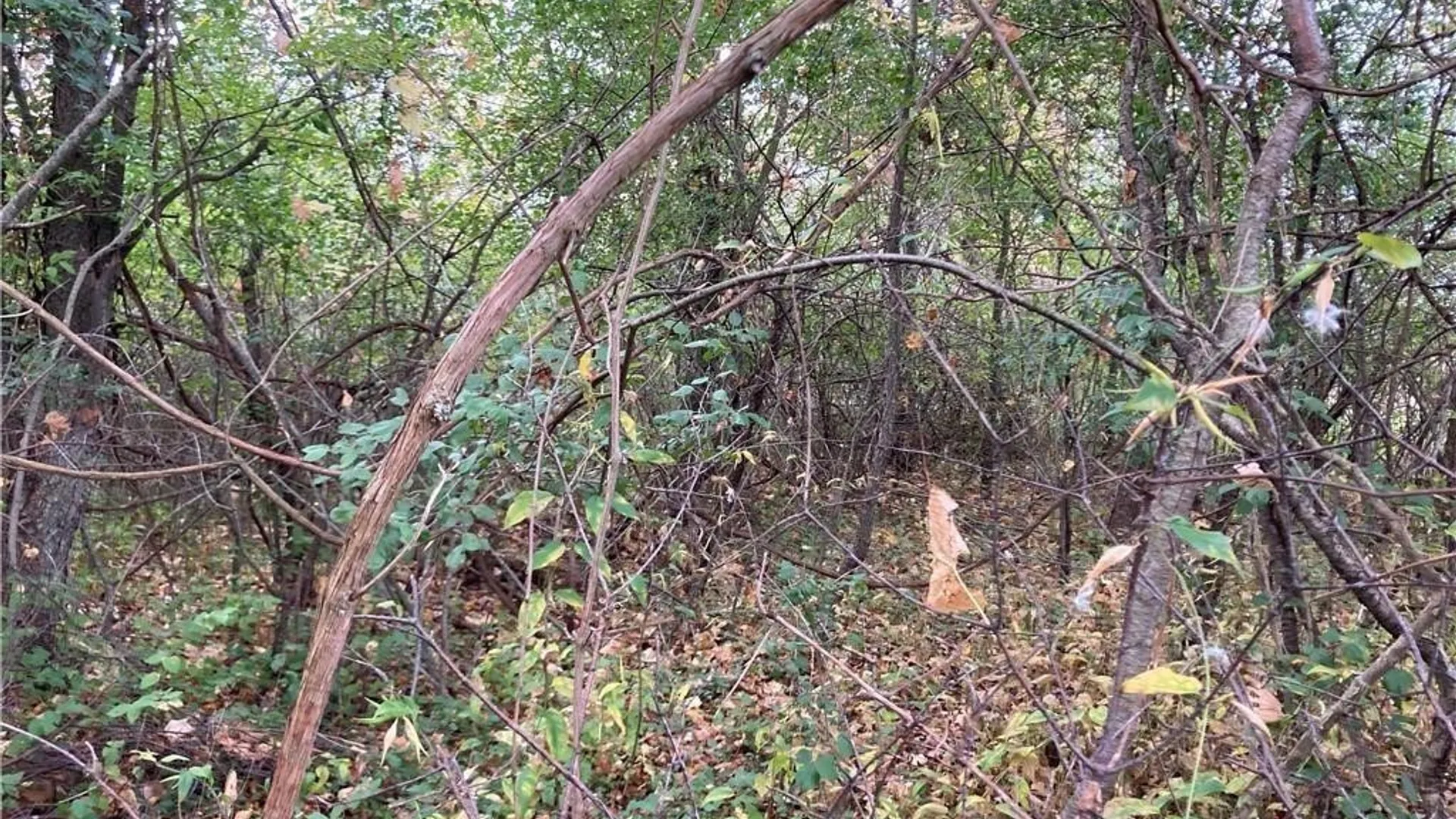 Property at NE of E Main Street E Main St Street, Hounsfield, NY 13685 7