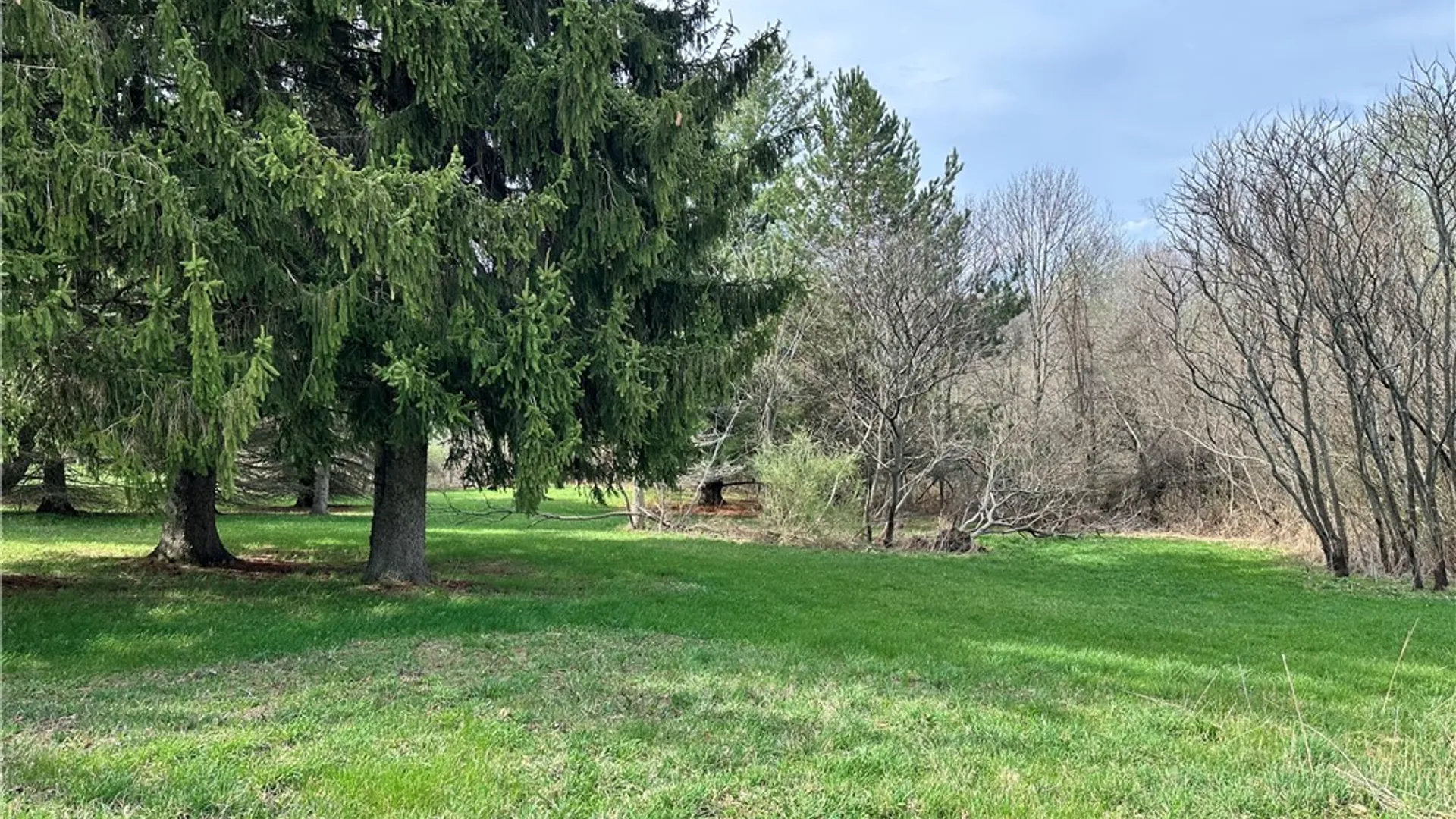 Property at 3965 State Route 436, Ossian, NY 14437 5