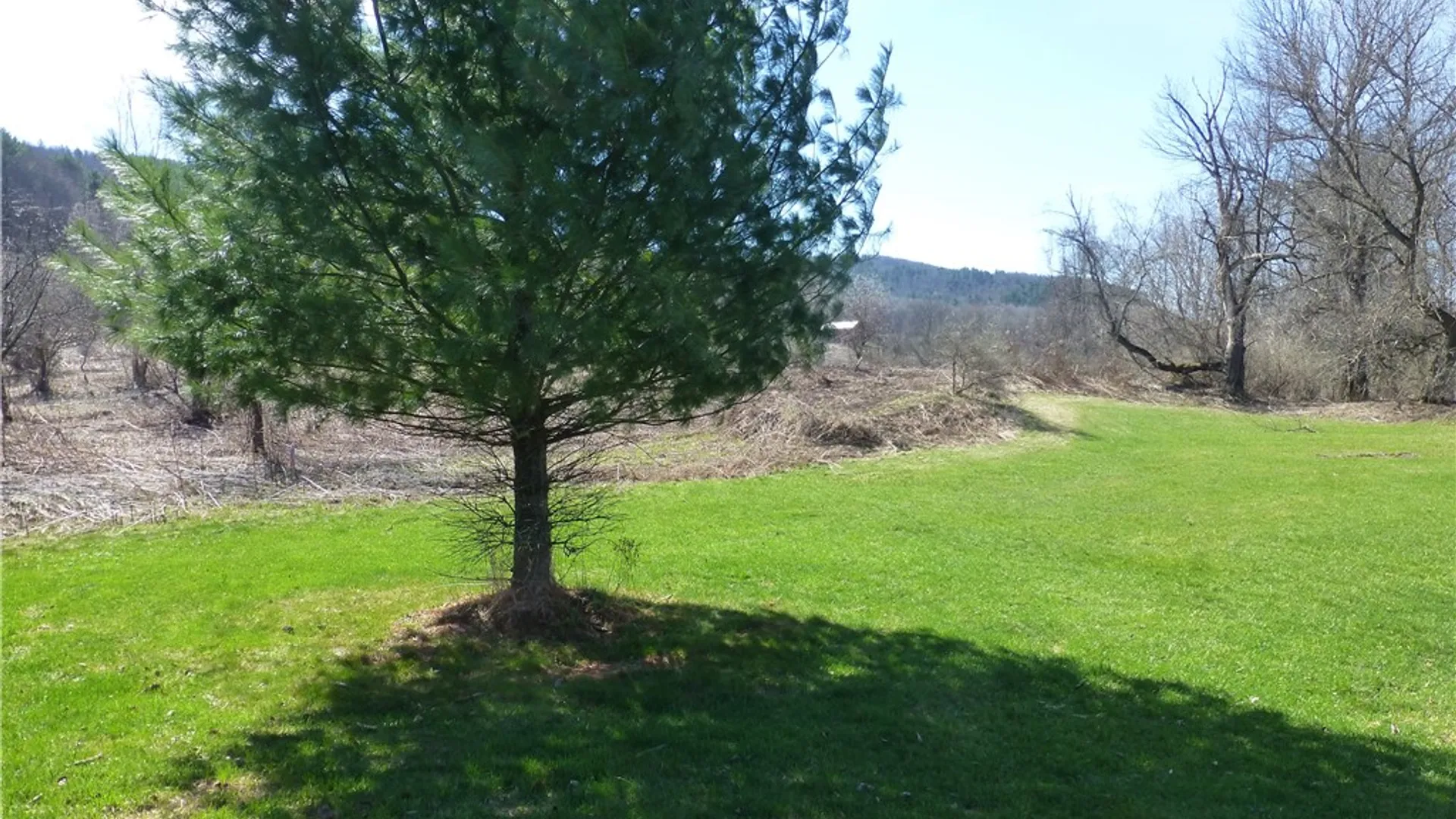 Property at Lakeside Estates, Richfield, NY 13439 4