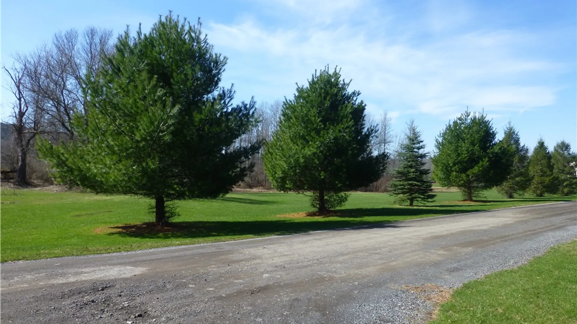 Property at Lakeside Estates, Richfield, NY 13439 5