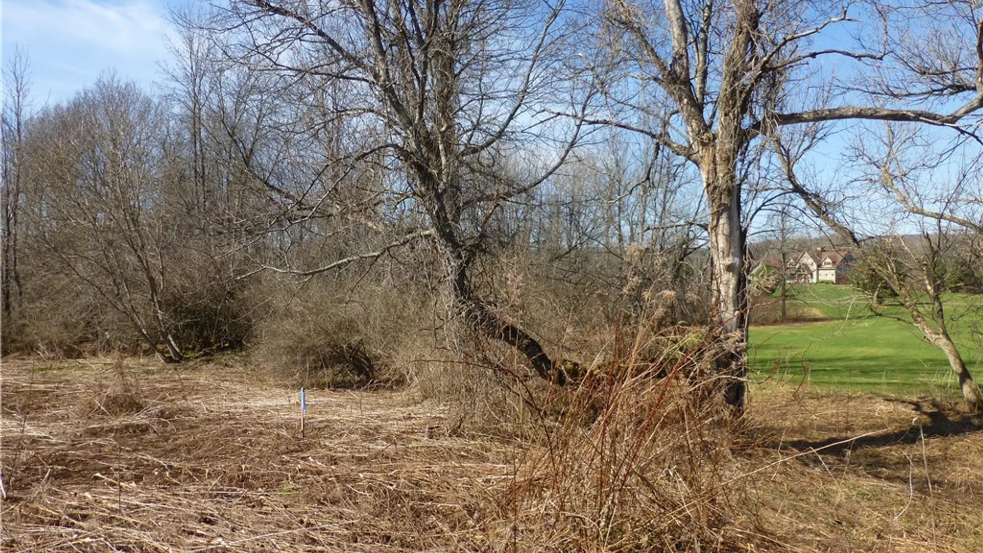 Property at Lakeside Estates, Richfield, NY 13439 7