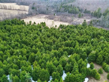 Lot 5 Burrell Road, Salisbury, NY 13365