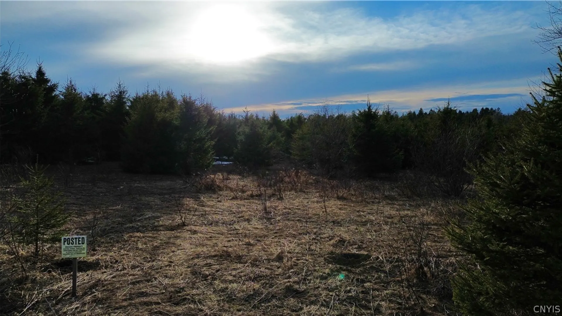 Property at Lot 5 Burrell Road, Salisbury, NY 13365 6