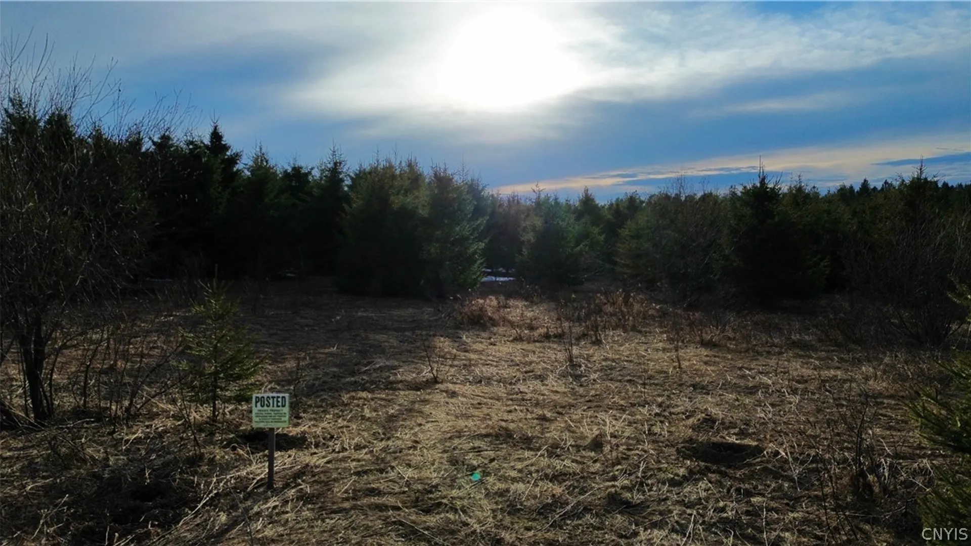 Property at Lot 5 Burrell Road, Salisbury, NY 13365 7