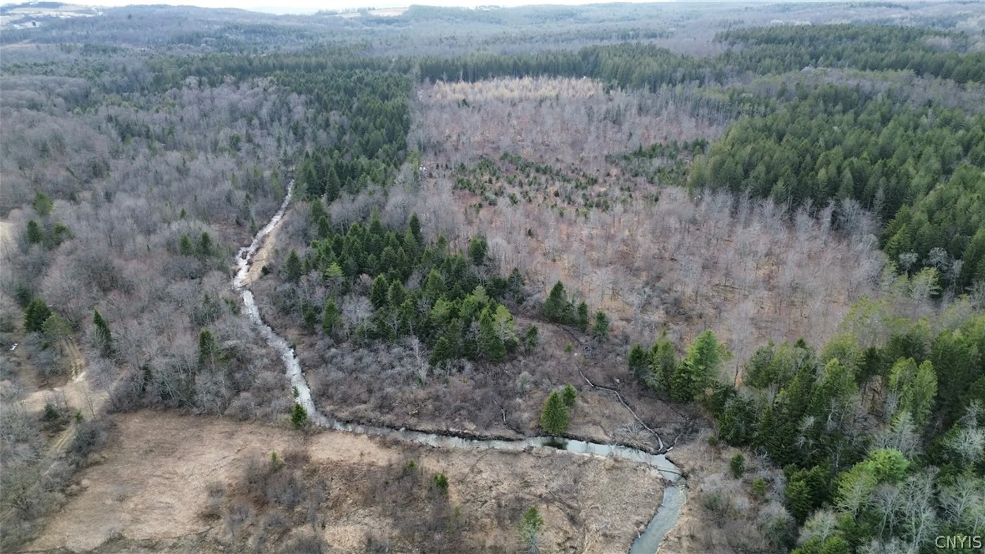 Property at Lot 6 Burrell Road, Salisbury, NY 13365 2