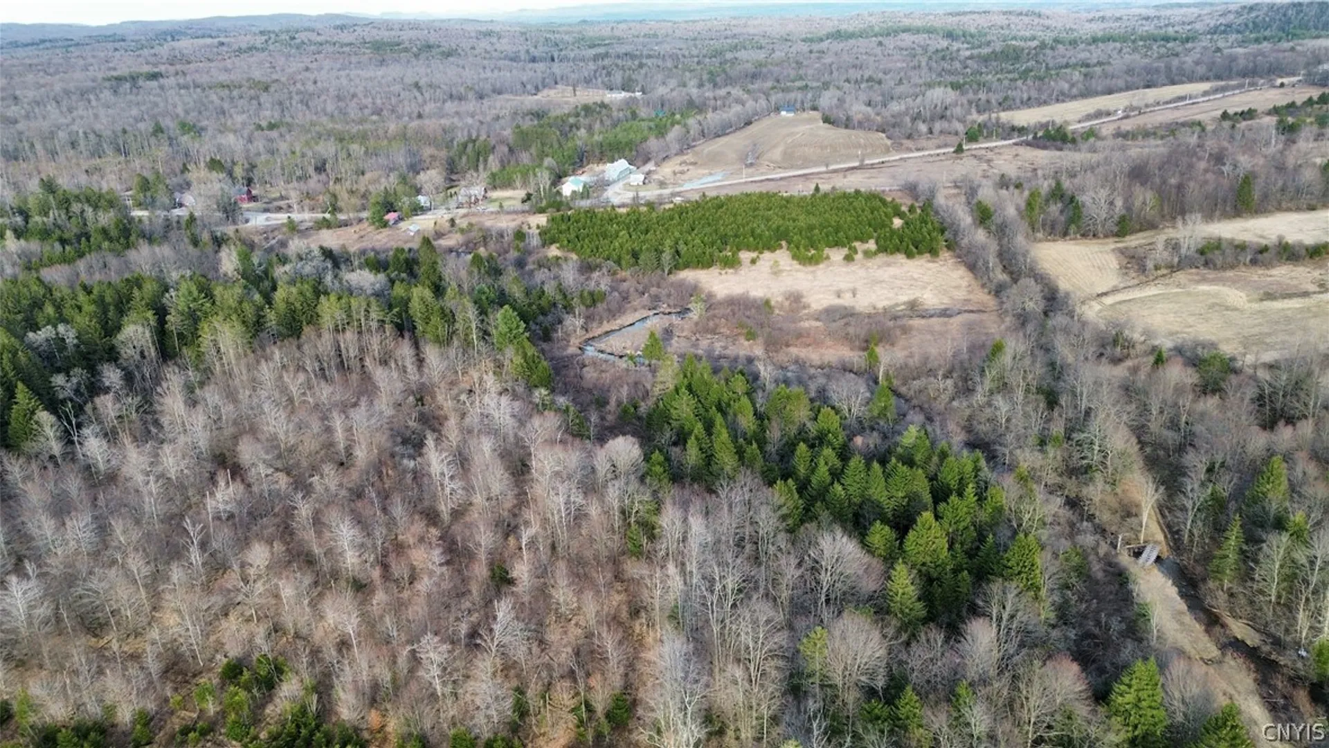 Property at Lot 6 Burrell Road, Salisbury, NY 13365 3