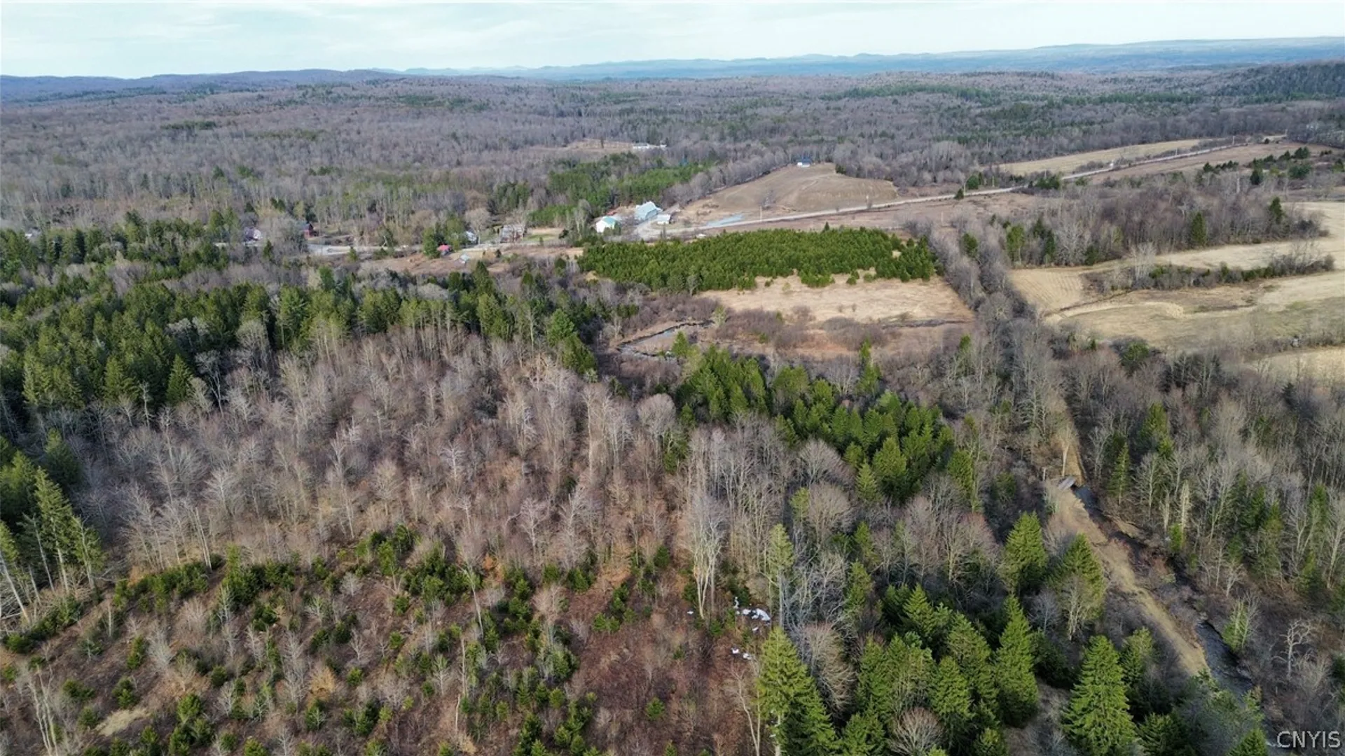Property at Lot 6 Burrell Road, Salisbury, NY 13365 4