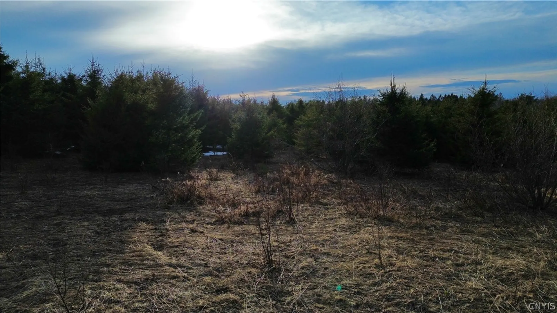 Property at Lot 6 Burrell Road, Salisbury, NY 13365 5