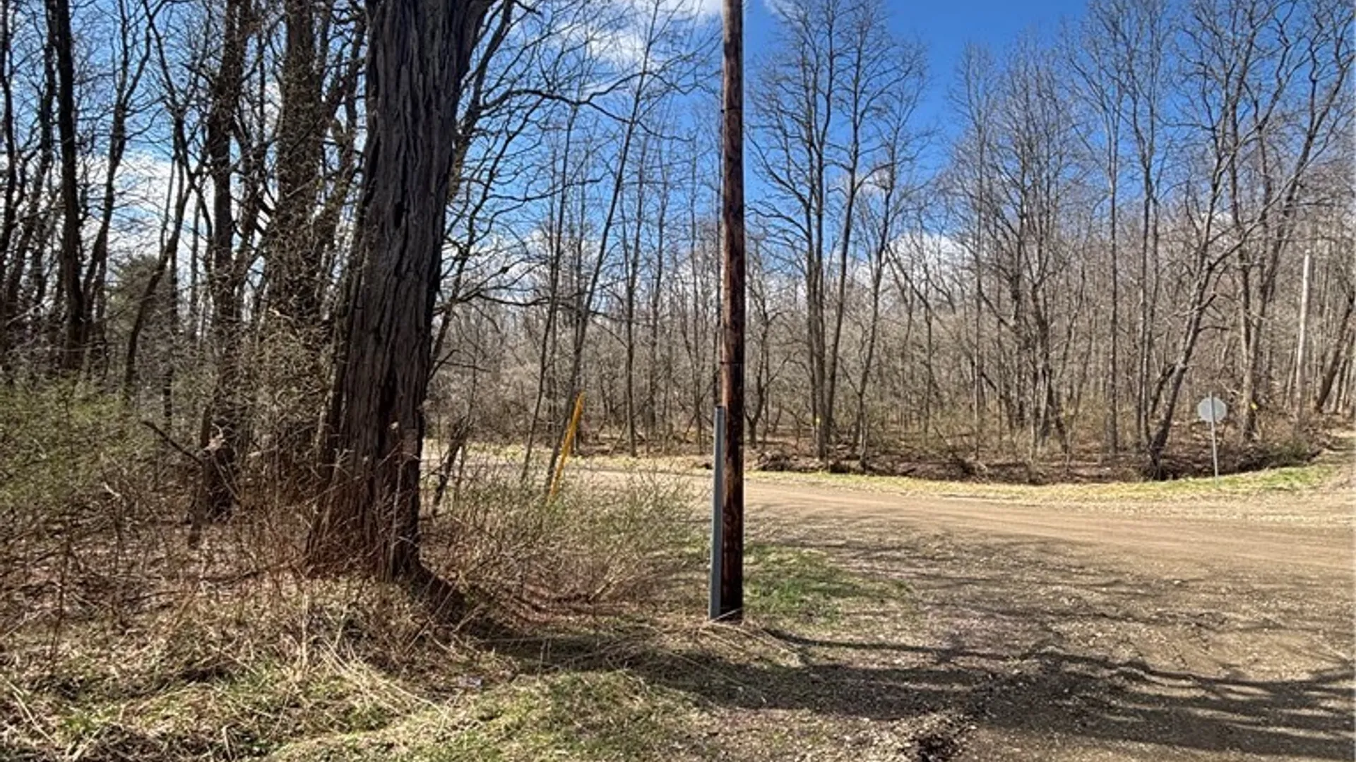 Property at Flat Iron Road, Granger, NY 14846 15