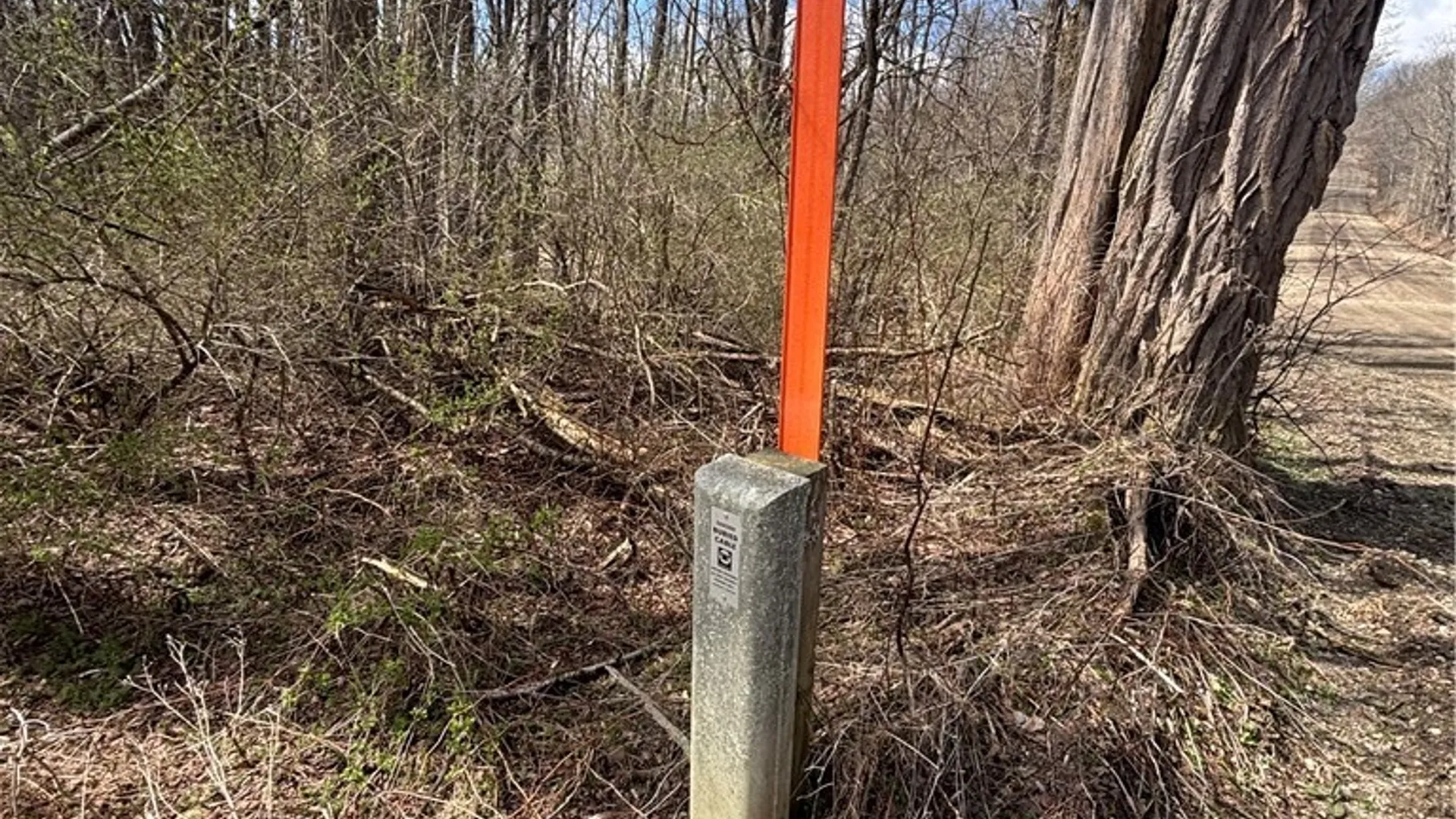 Property at Flat Iron Road, Granger, NY 14846 17