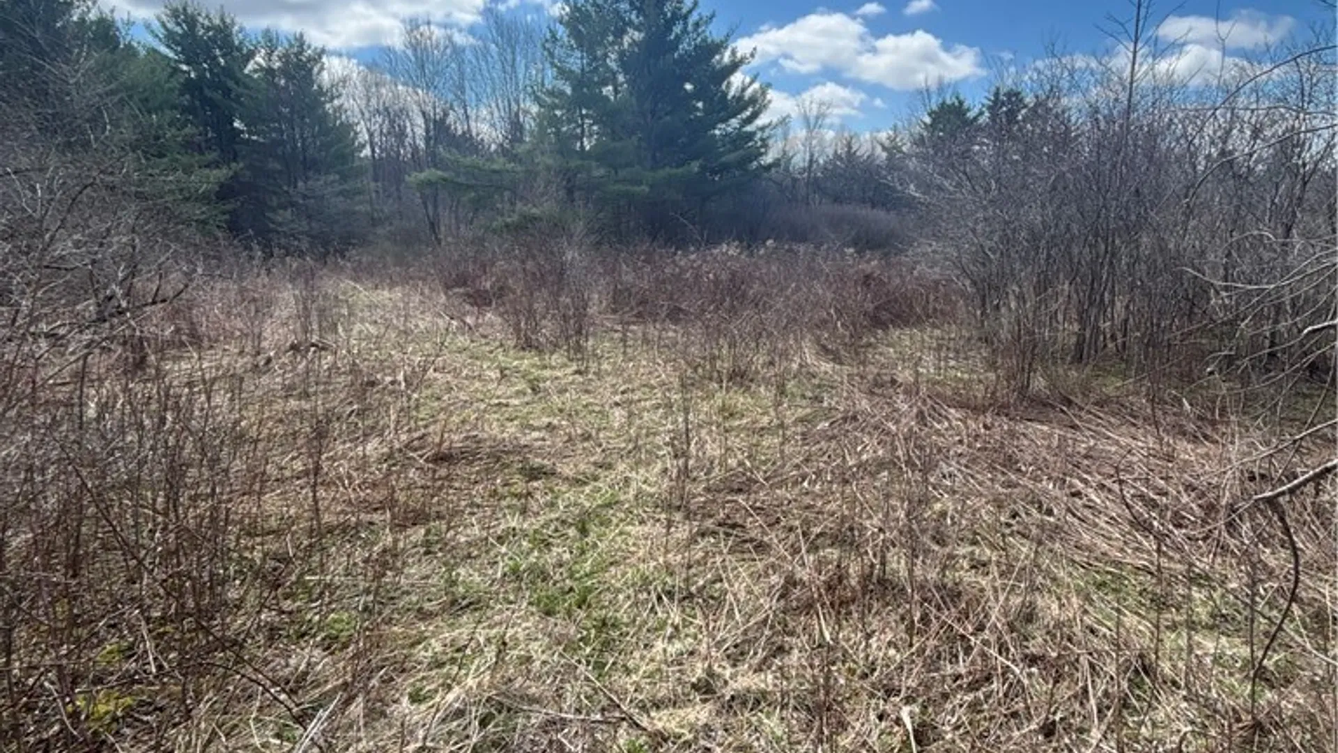 Property at Flat Iron Road, Granger, NY 14846 19