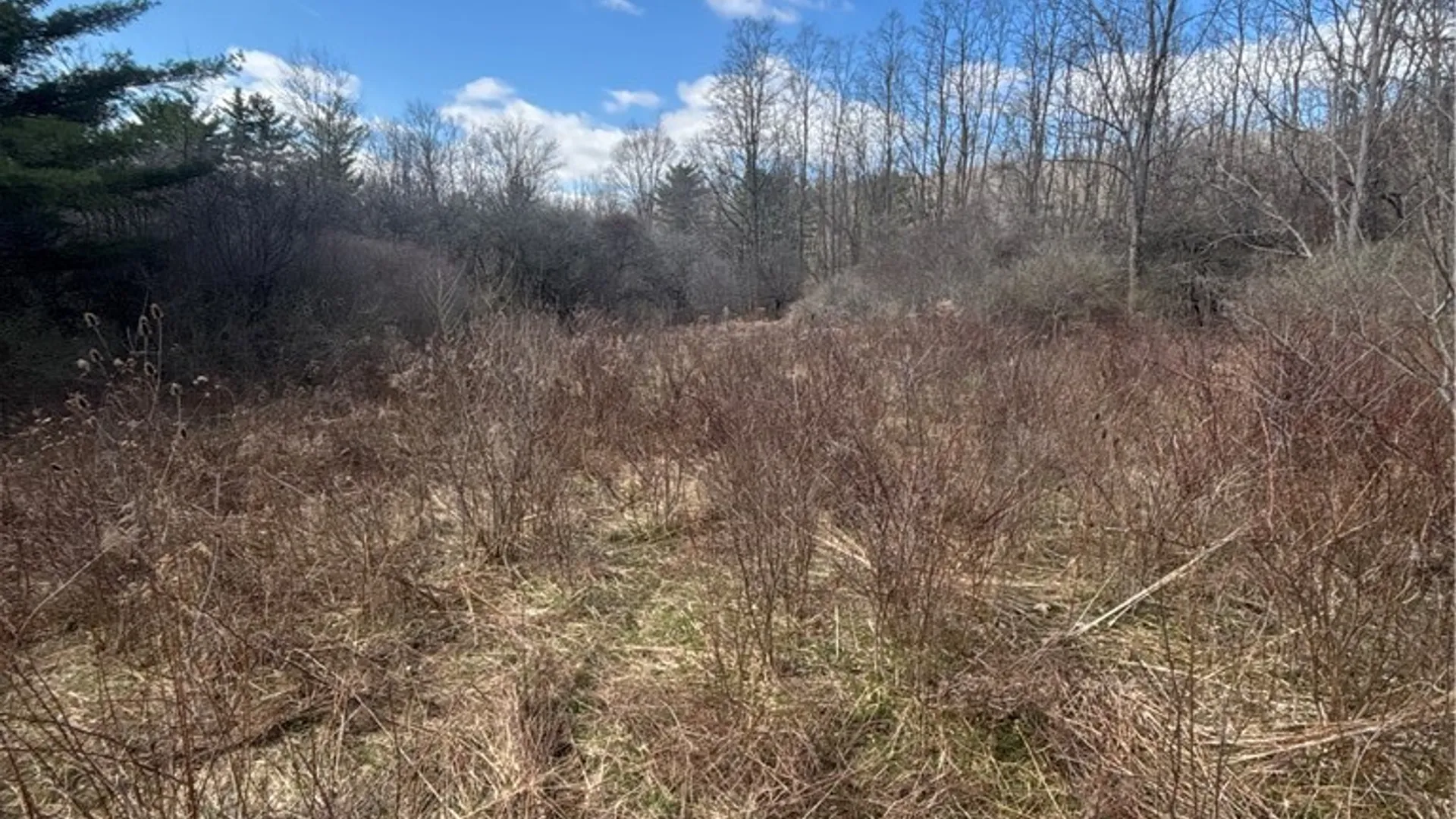 Property at Flat Iron Road, Granger, NY 14846 20