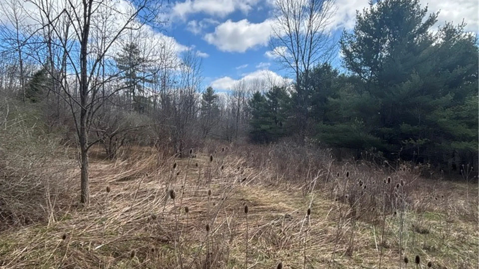 Property at Flat Iron Road, Granger, NY 14846 21