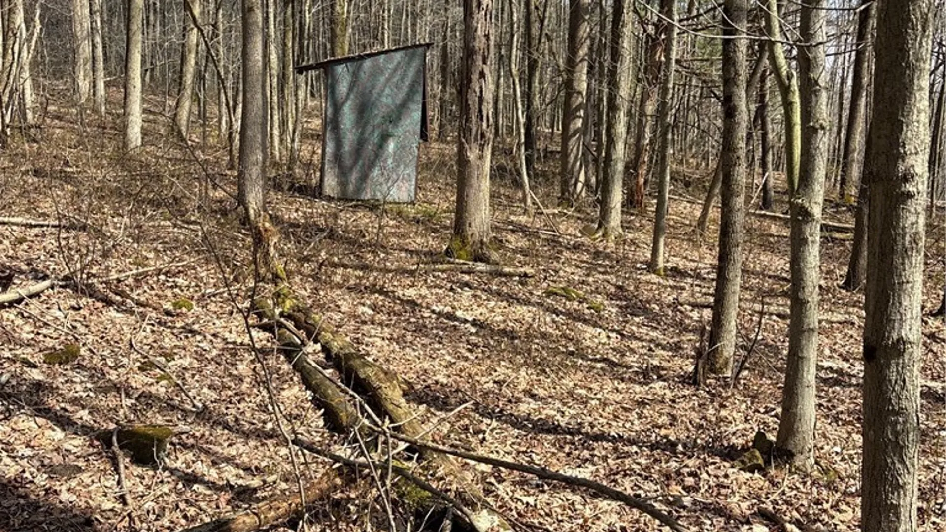 Property at Flat Iron Road, Granger, NY 14846 25