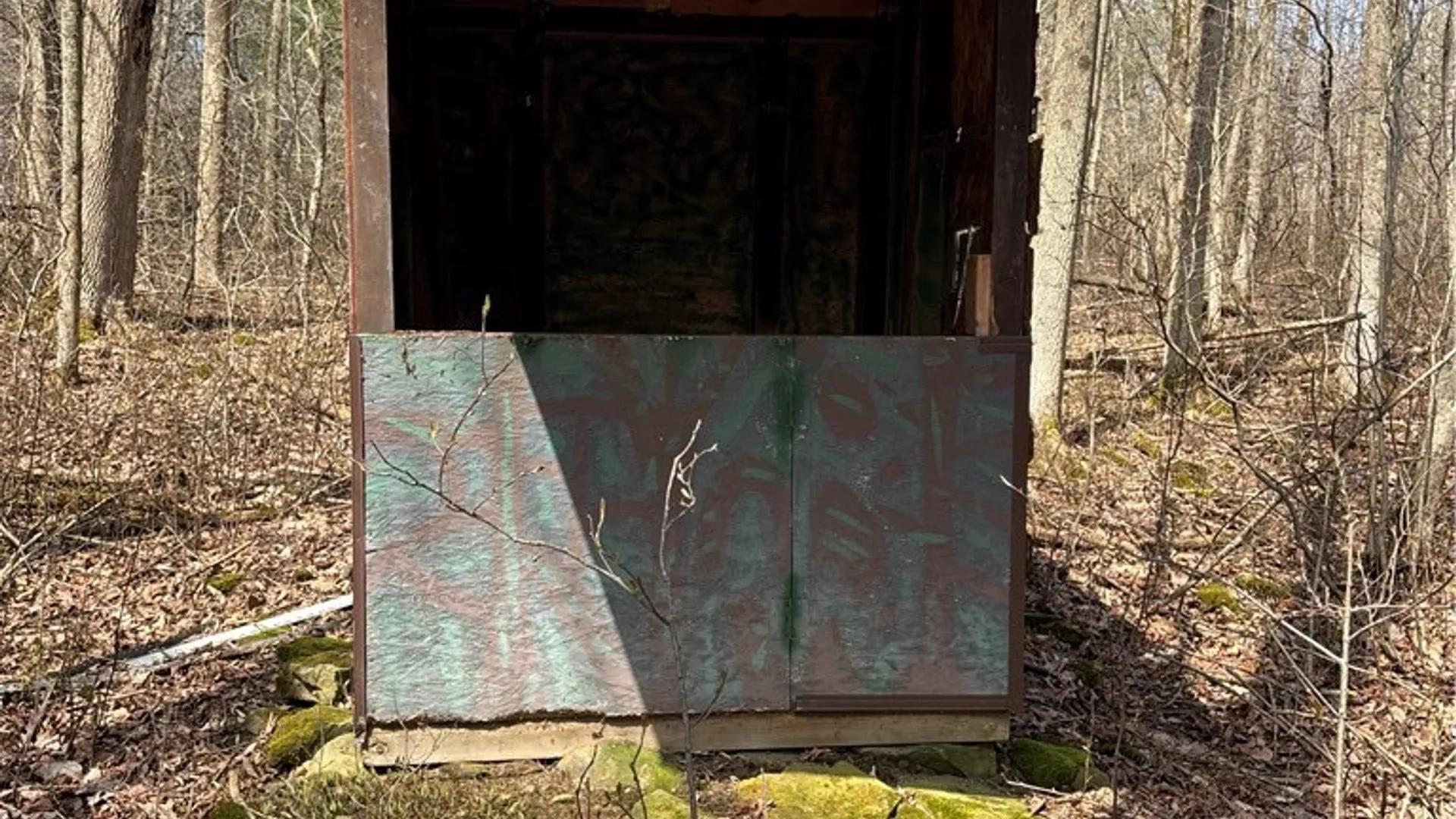 Property at Flat Iron Road, Granger, NY 14846 26