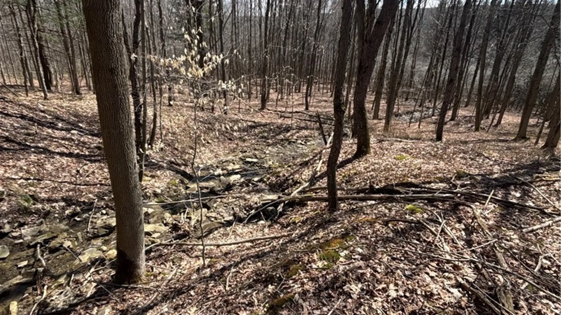 Property at Flat Iron Road, Granger, NY 14846 30