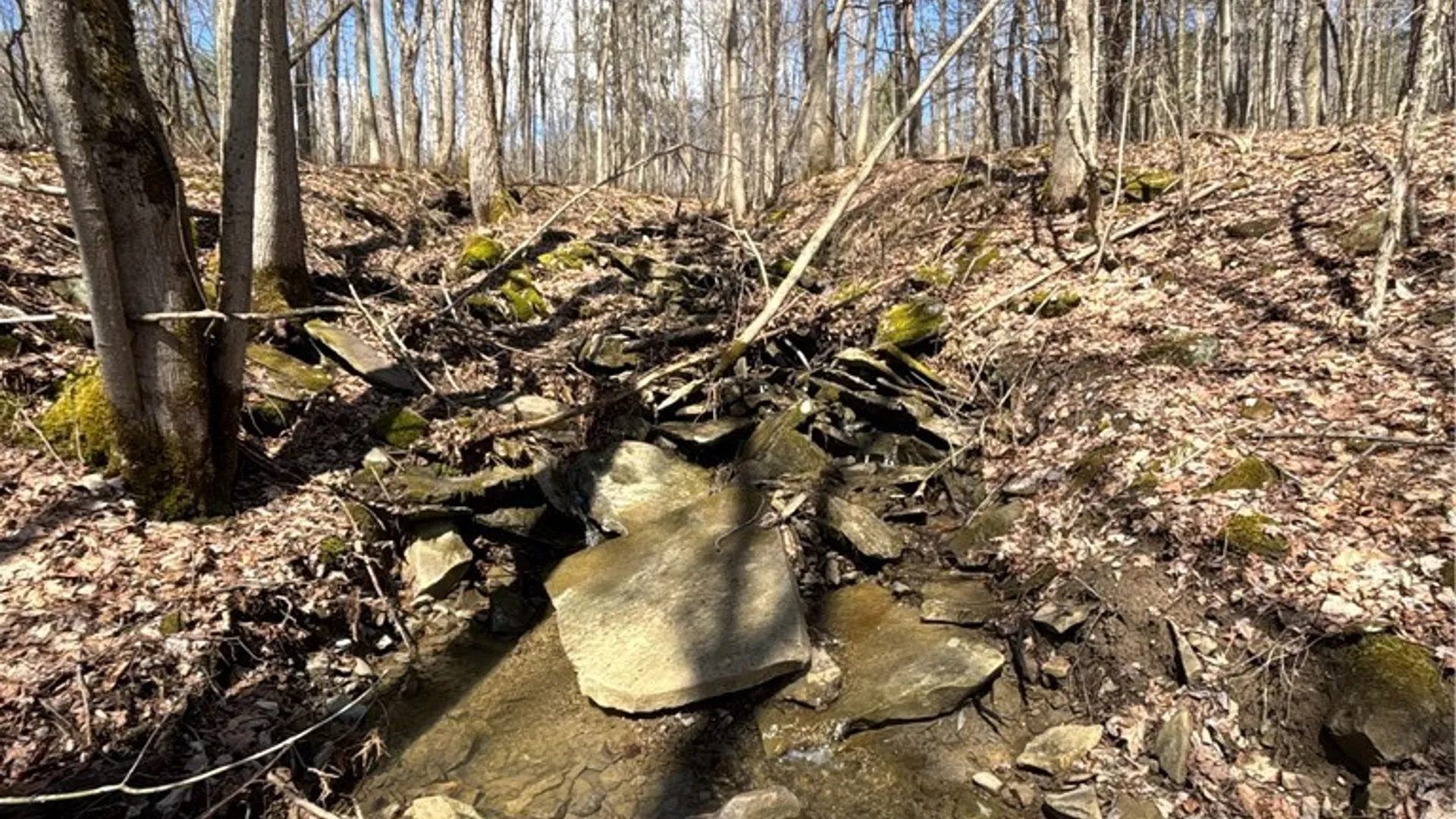 Property at Flat Iron Road, Granger, NY 14846 31