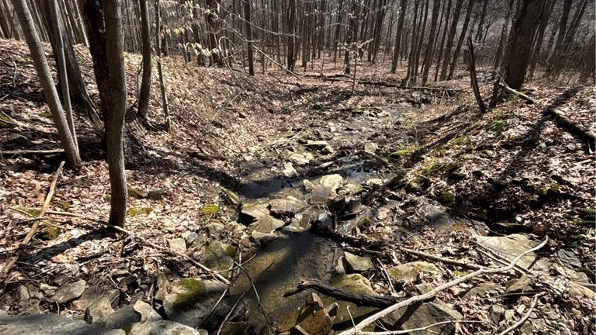 Property at Flat Iron Road, Granger, NY 14846 32
