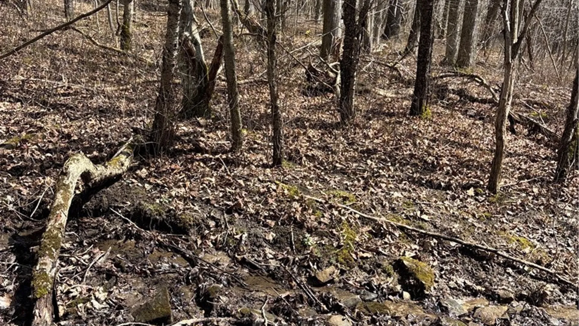 Property at Flat Iron Road, Granger, NY 14846 34