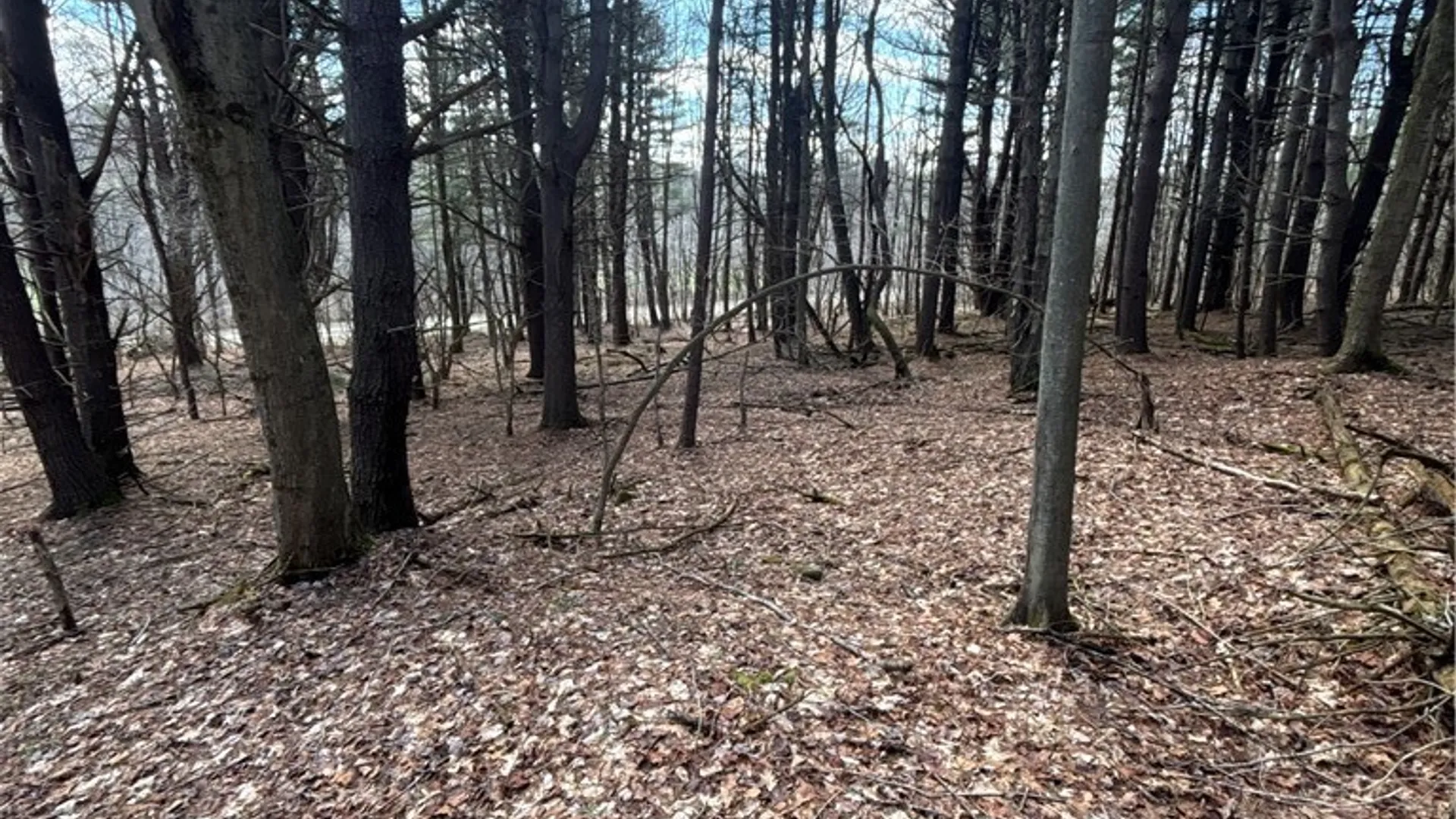 Property at Flat Iron Road, Granger, NY 14846 35