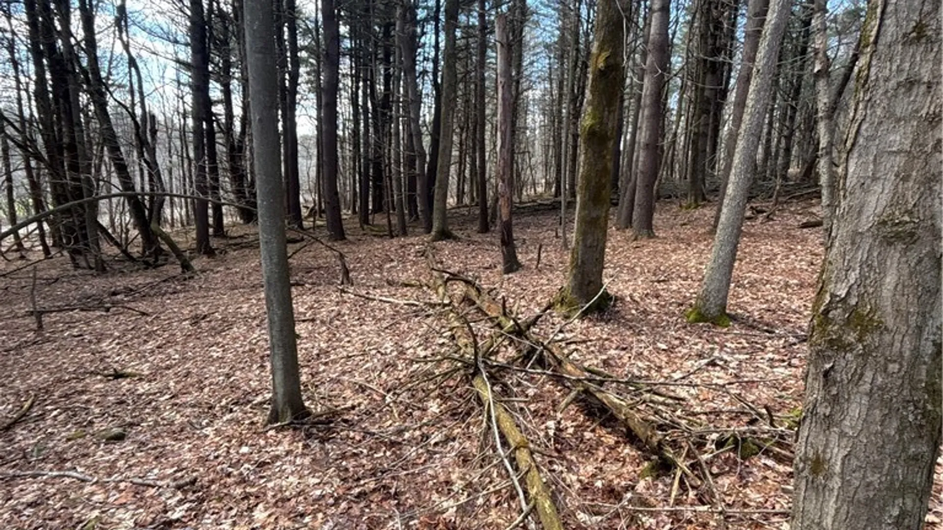 Property at Flat Iron Road, Granger, NY 14846 36