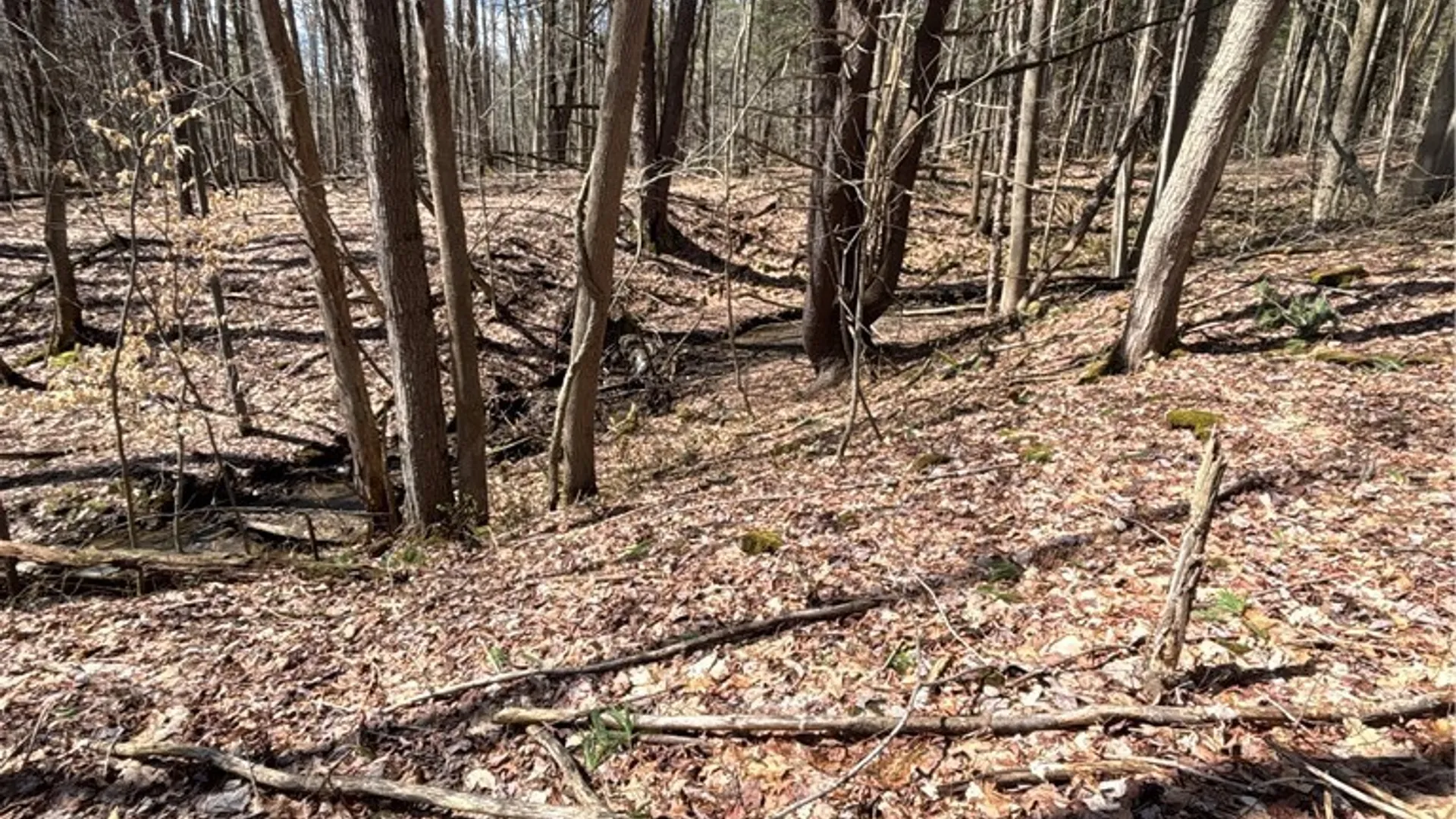 Property at Flat Iron Road, Granger, NY 14846 38