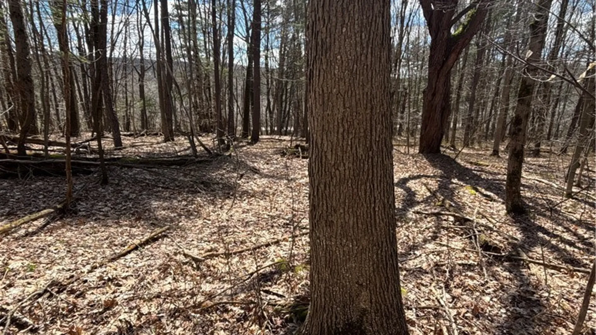 Property at Flat Iron Road, Granger, NY 14846 39