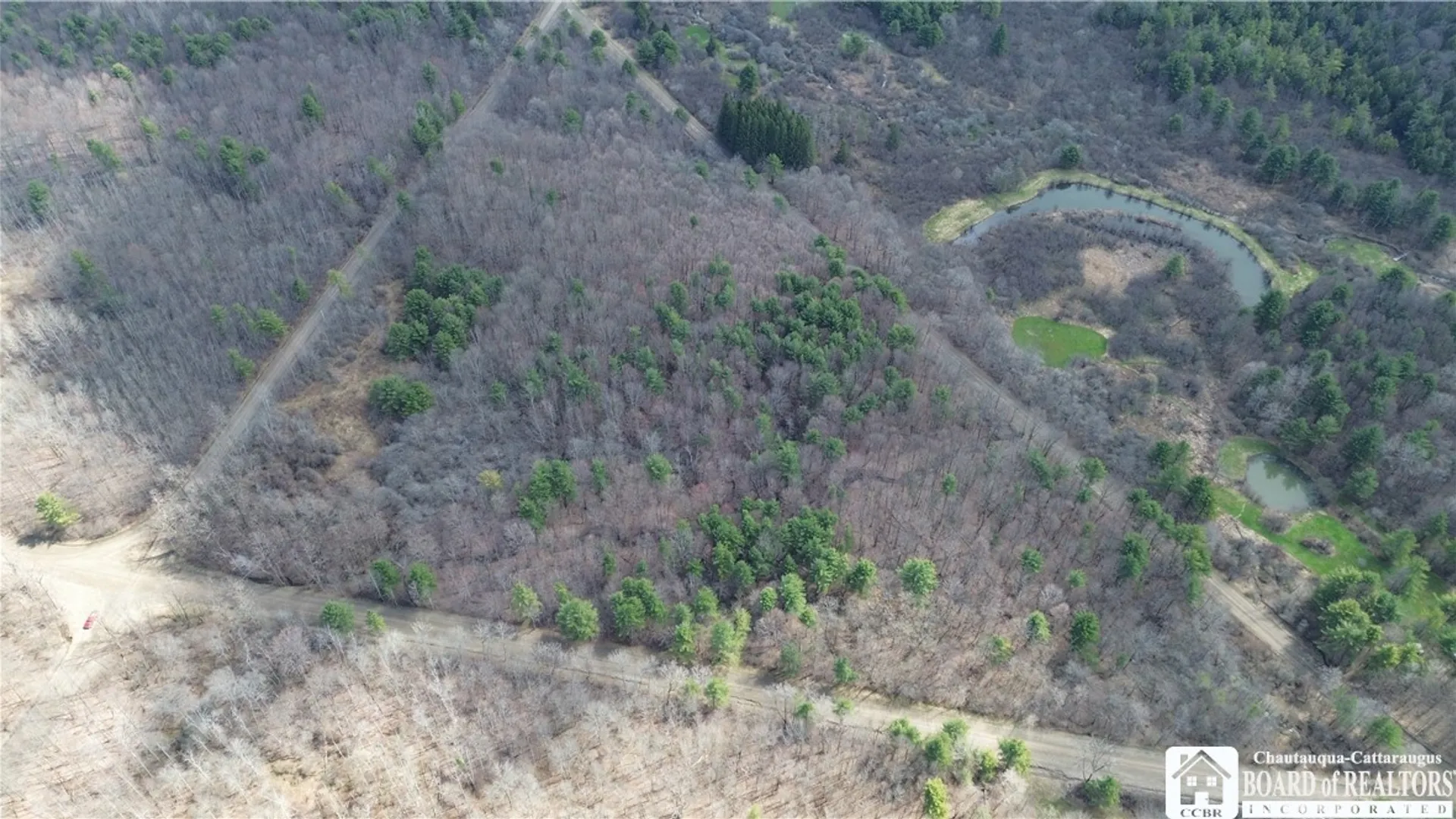 Property at Flat Iron Road, Granger, NY 14846 4