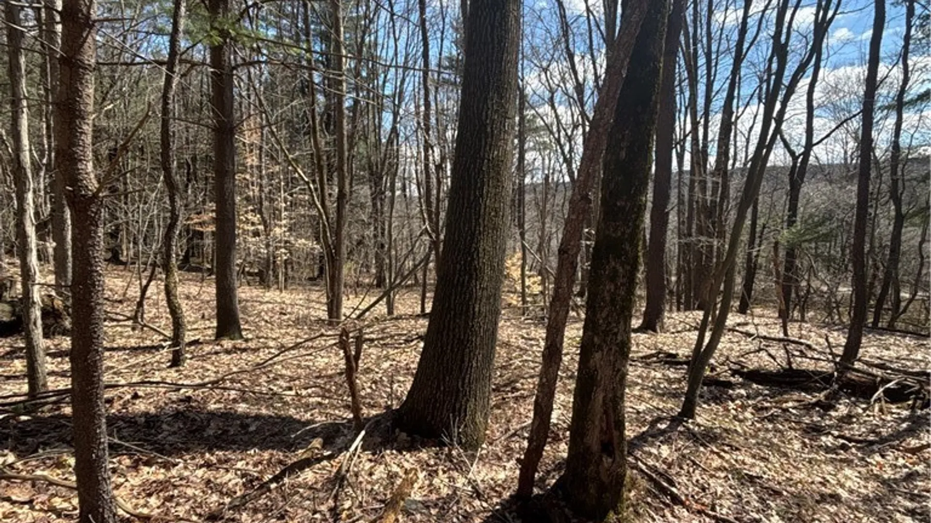 Property at Flat Iron Road, Granger, NY 14846 40