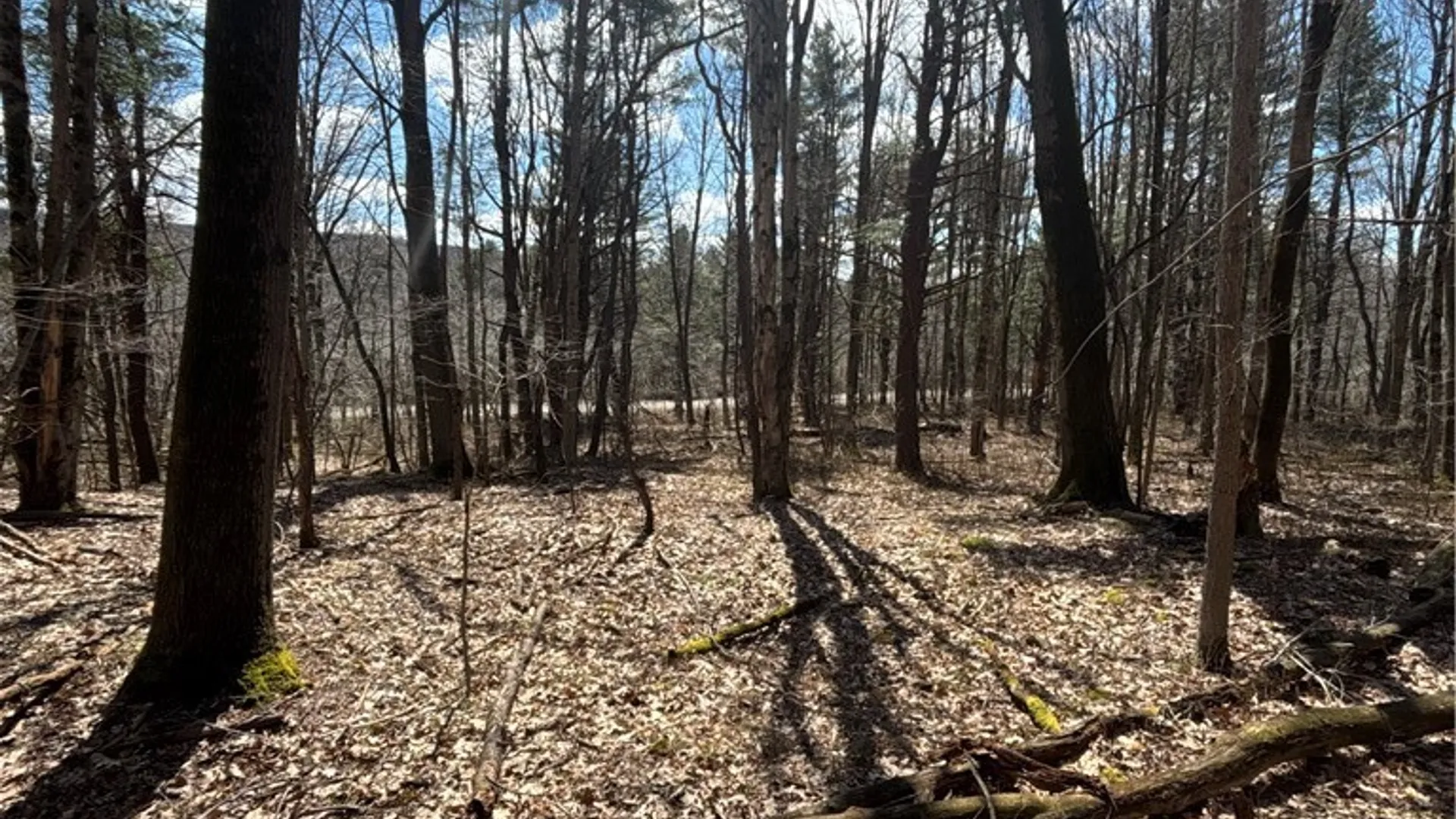 Property at Flat Iron Road, Granger, NY 14846 41