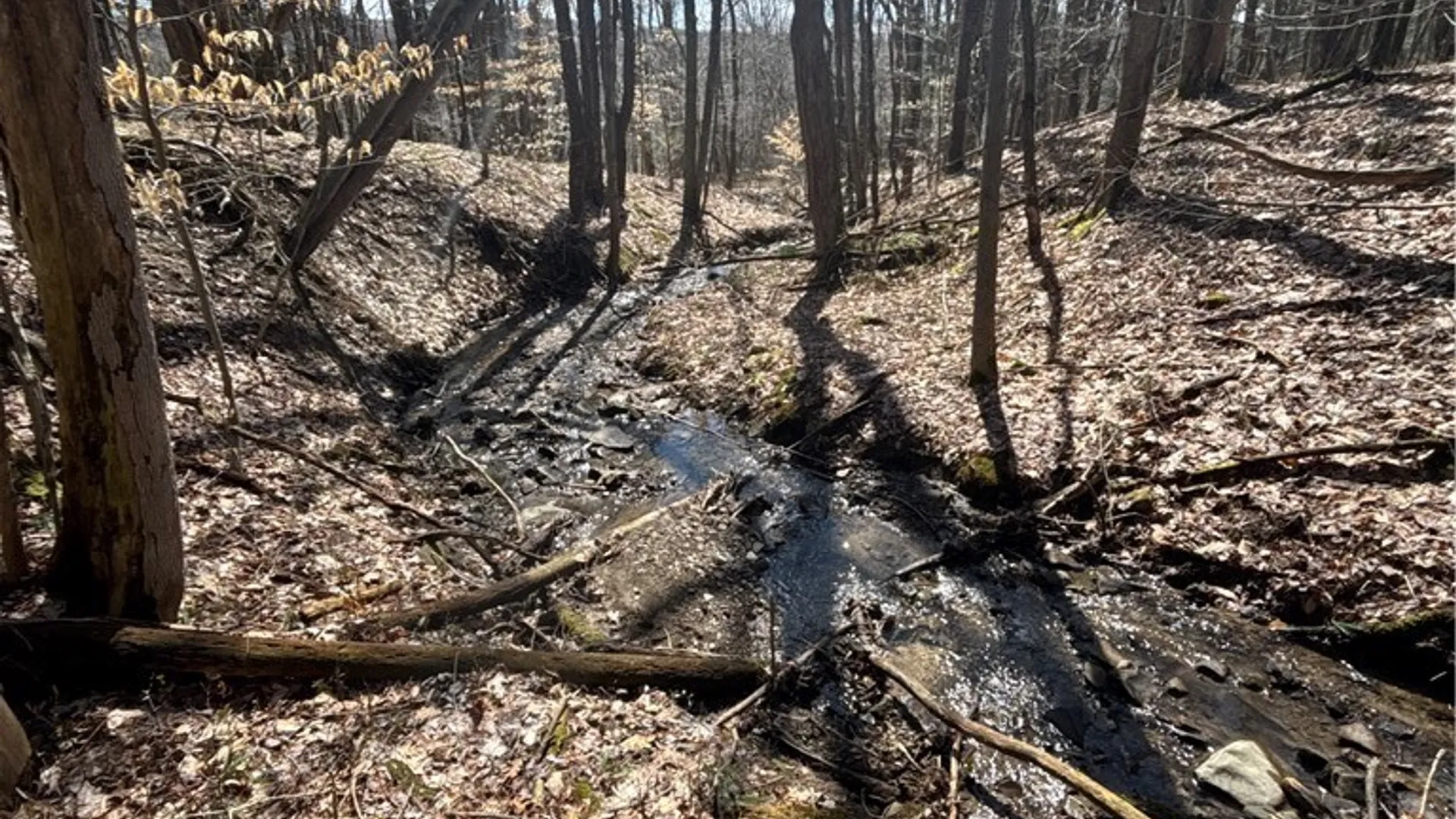 Property at Flat Iron Road, Granger, NY 14846 42