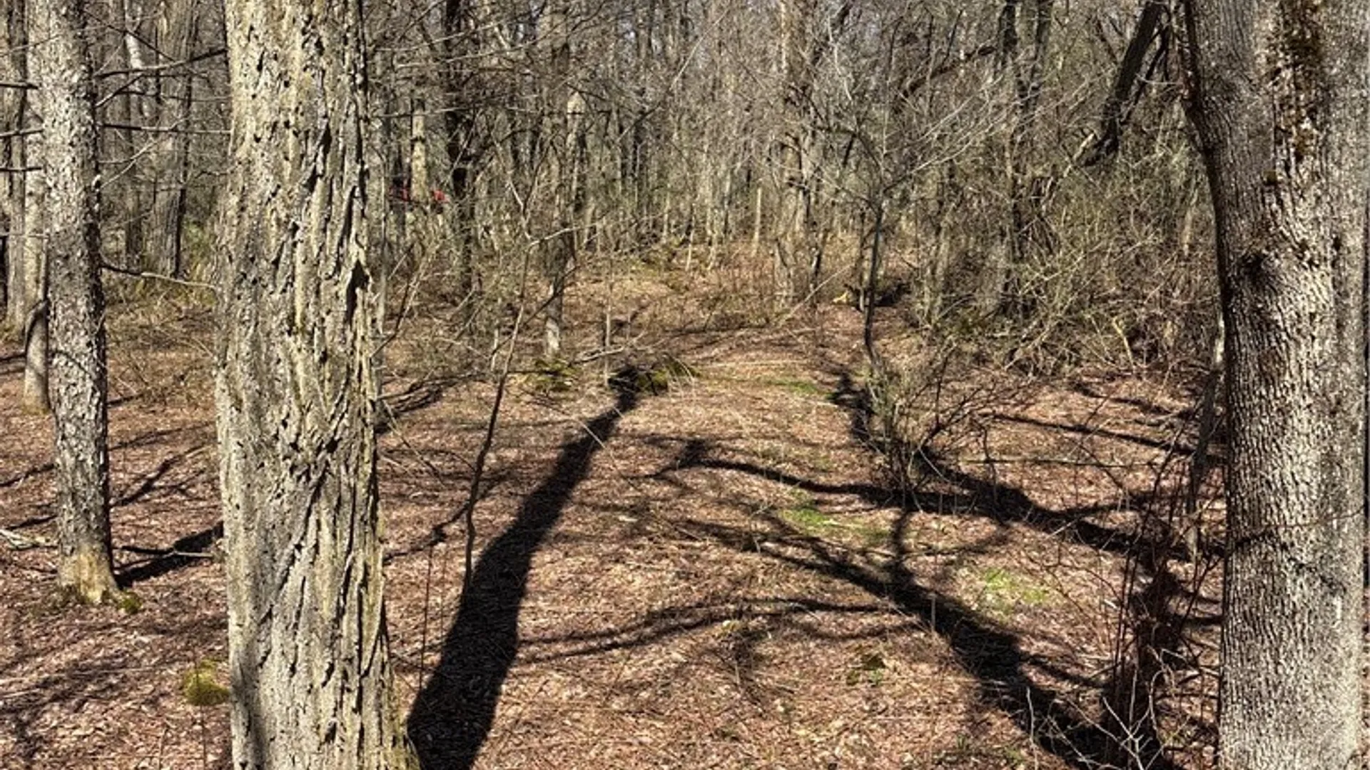 Property at Flat Iron Road, Granger, NY 14846 45