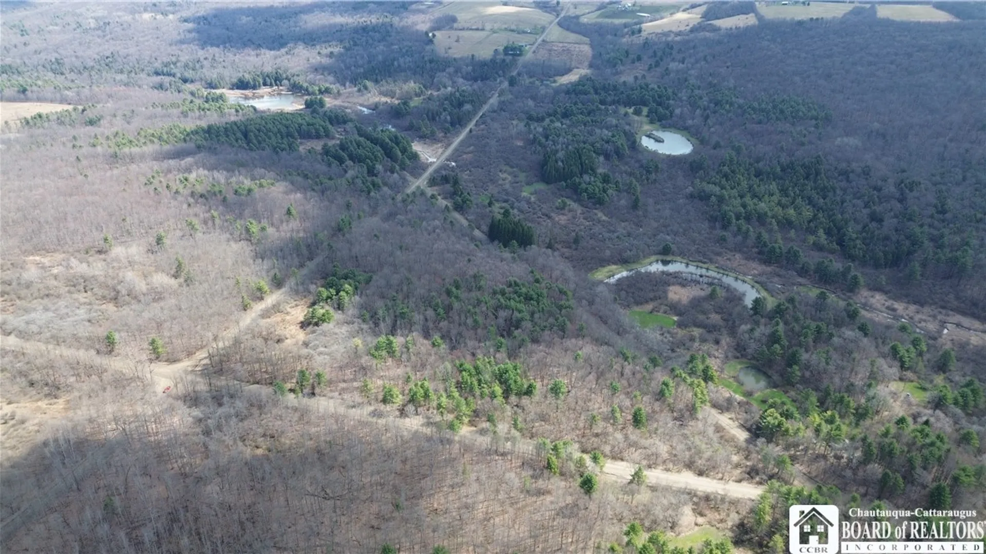 Property at Flat Iron Road, Granger, NY 14846 5