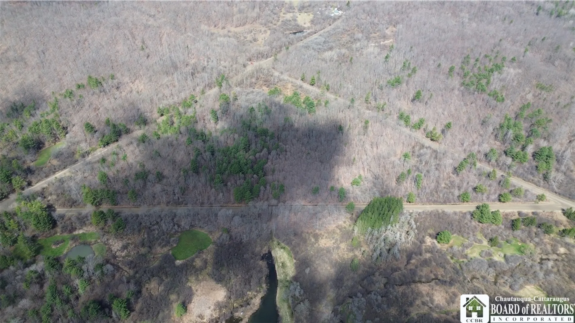 Property at Flat Iron Road, Granger, NY 14846 6