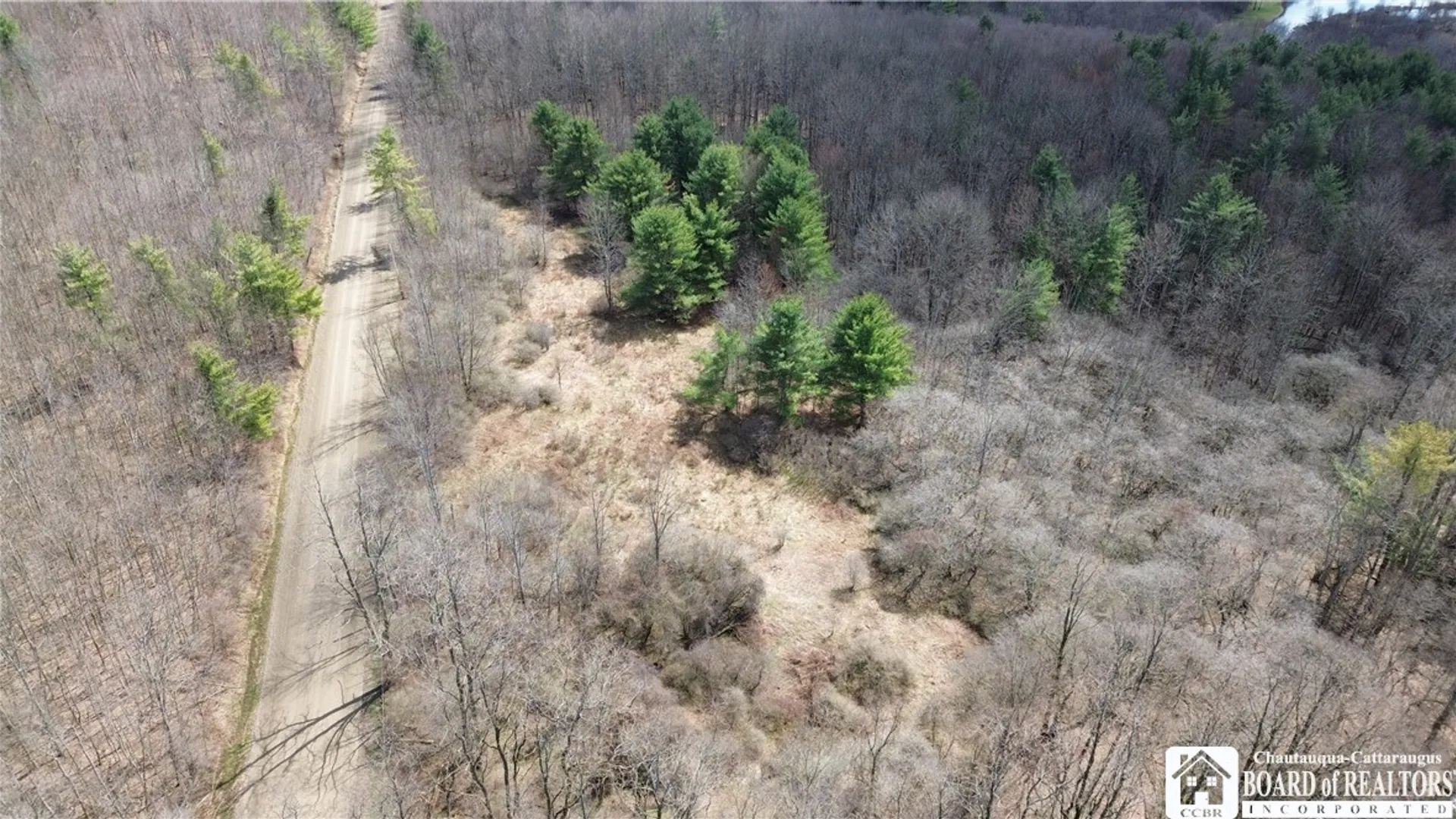 Property at Flat Iron Road, Granger, NY 14846 9