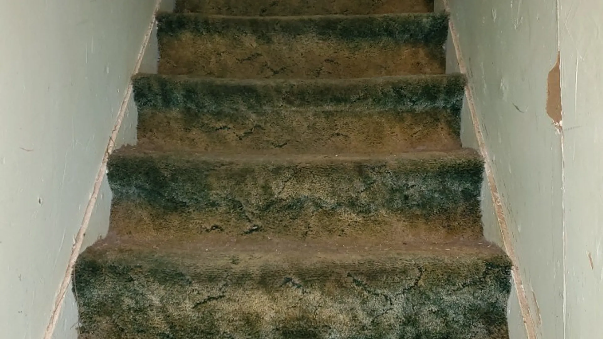 Property at 212 Main Street, Watertown City, NY 13601 8