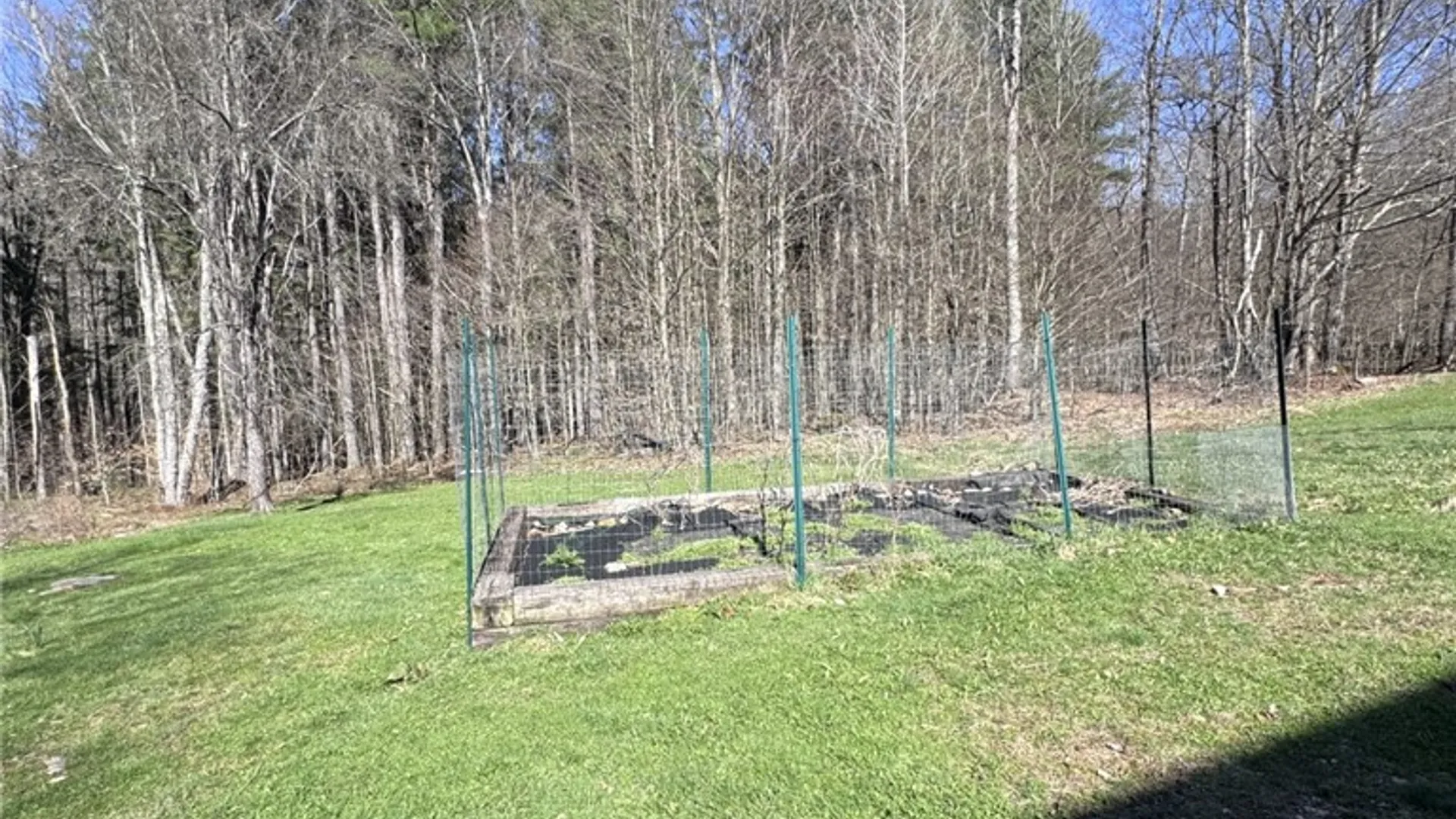 Property at 987 Bloomster Hollow Road, Sergeant Twp, PA 16749 49