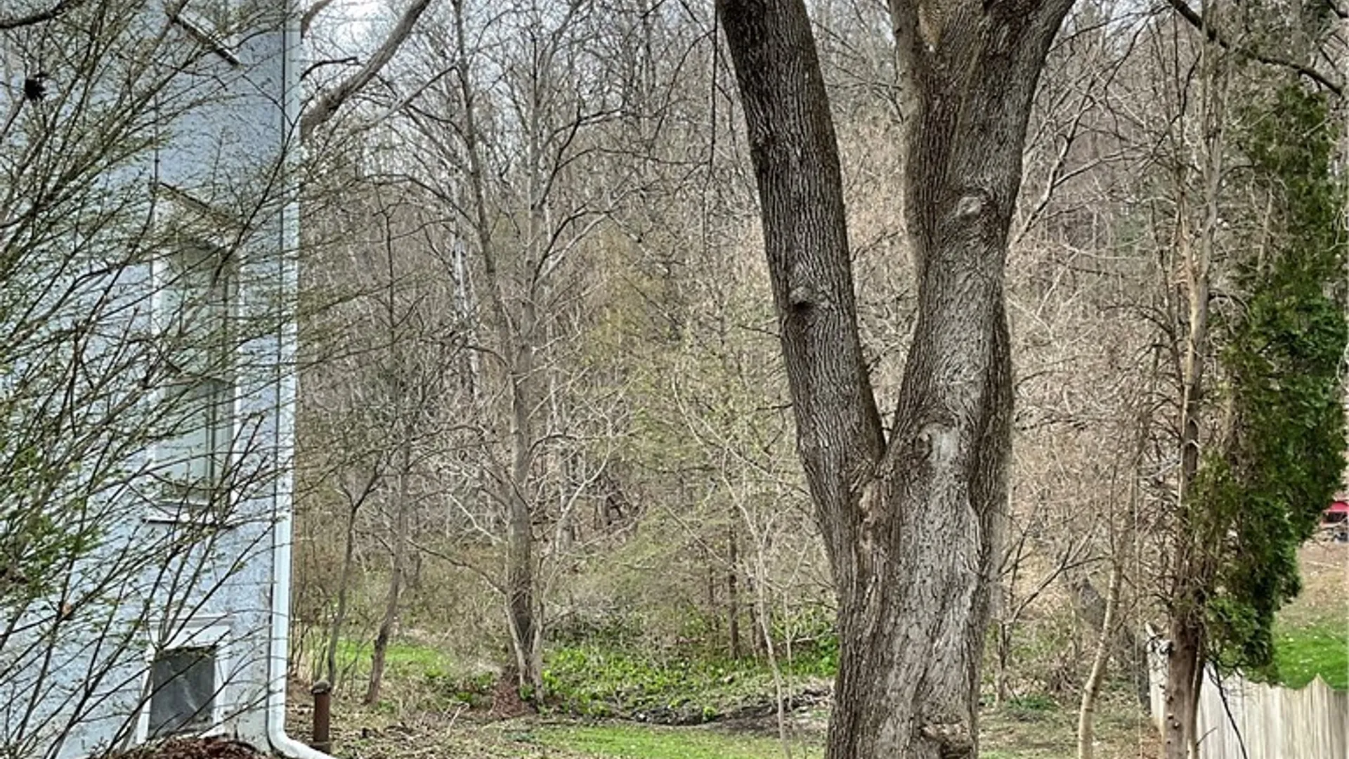 Property at 310 Spring Street, Groton, NY 13073 22