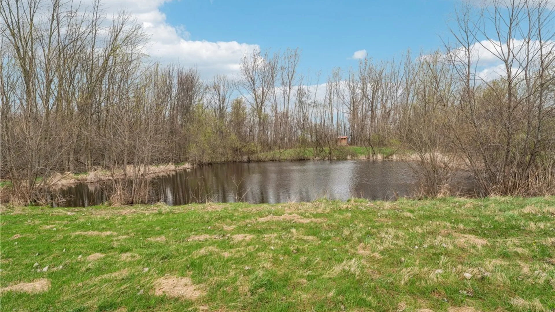 Property at 14125 Barre Road, Barre, NY 14411 39