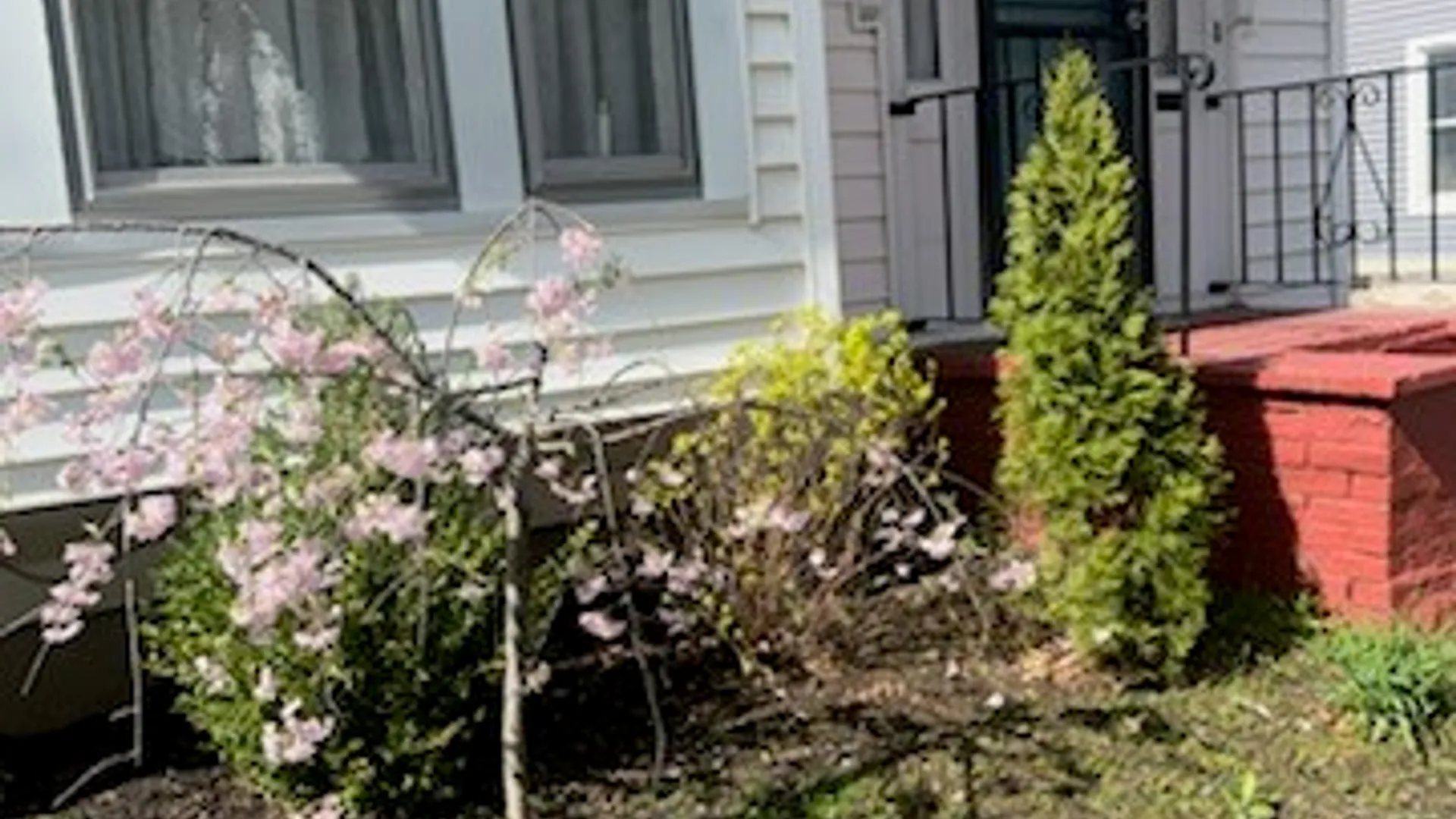 Property at 816 Gray Street, Elmira City, NY 14905 26