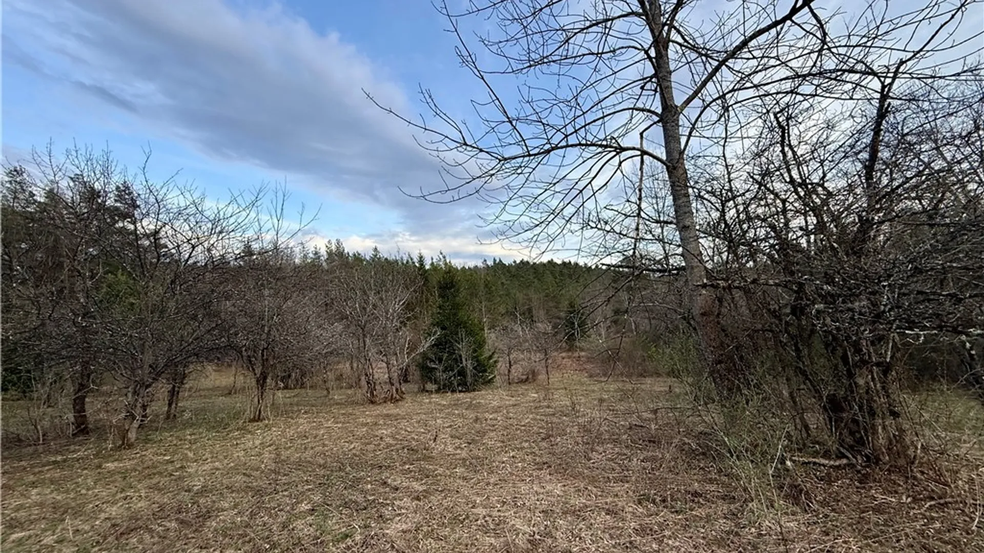 Property at Springer Road, Lincklaen, NY 13052 11