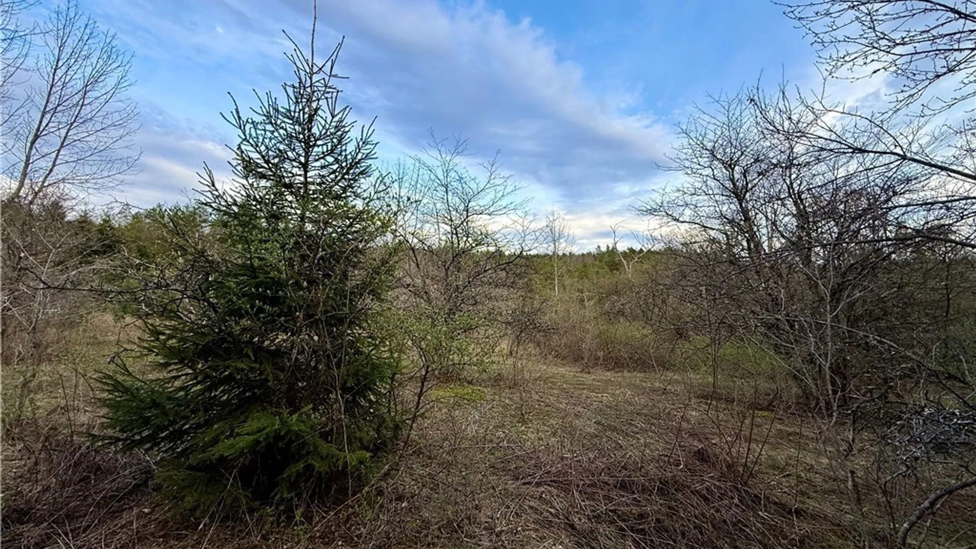 Property at Springer Road, Lincklaen, NY 13052 12