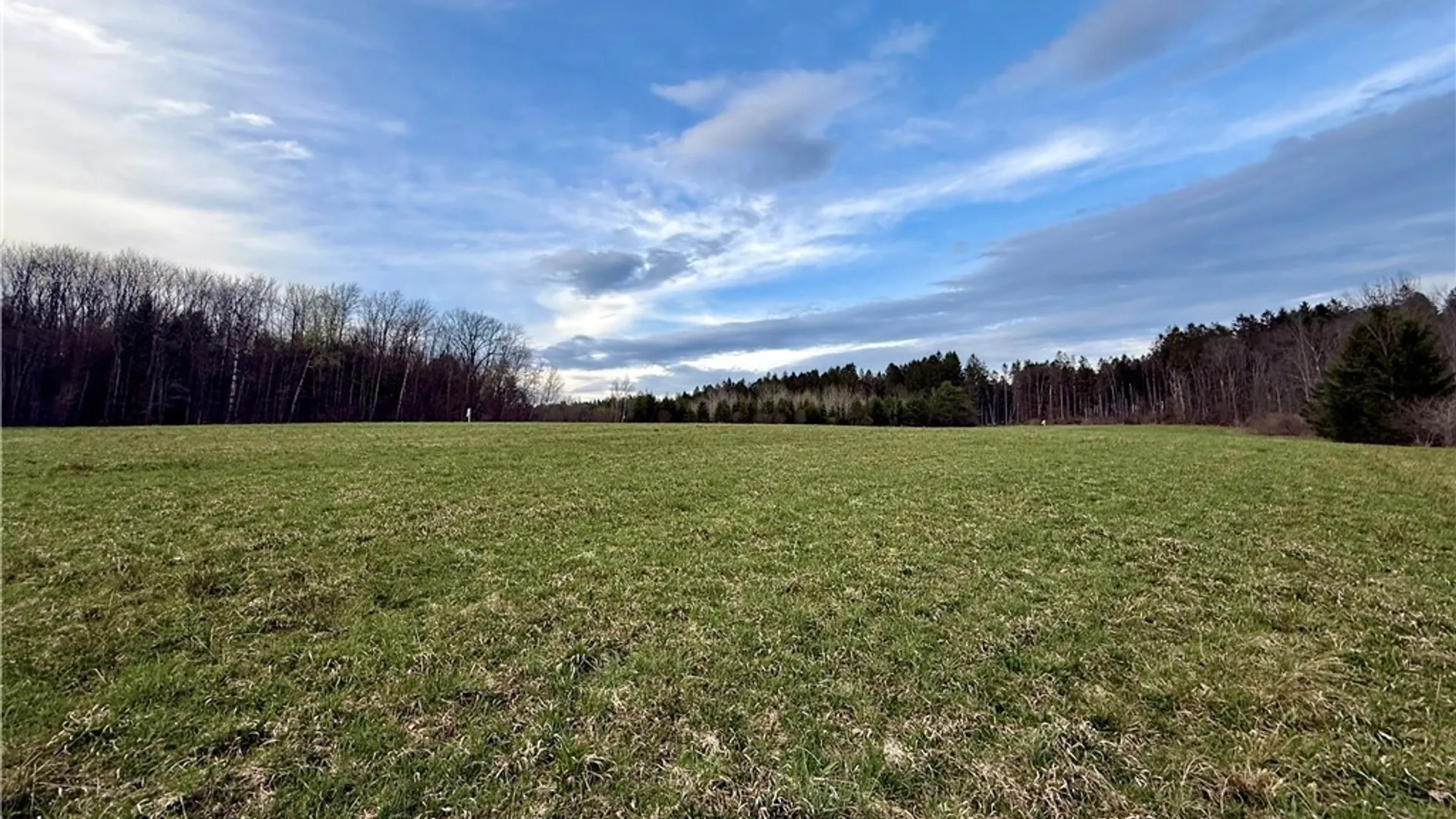 Property at Springer Road, Lincklaen, NY 13052 13